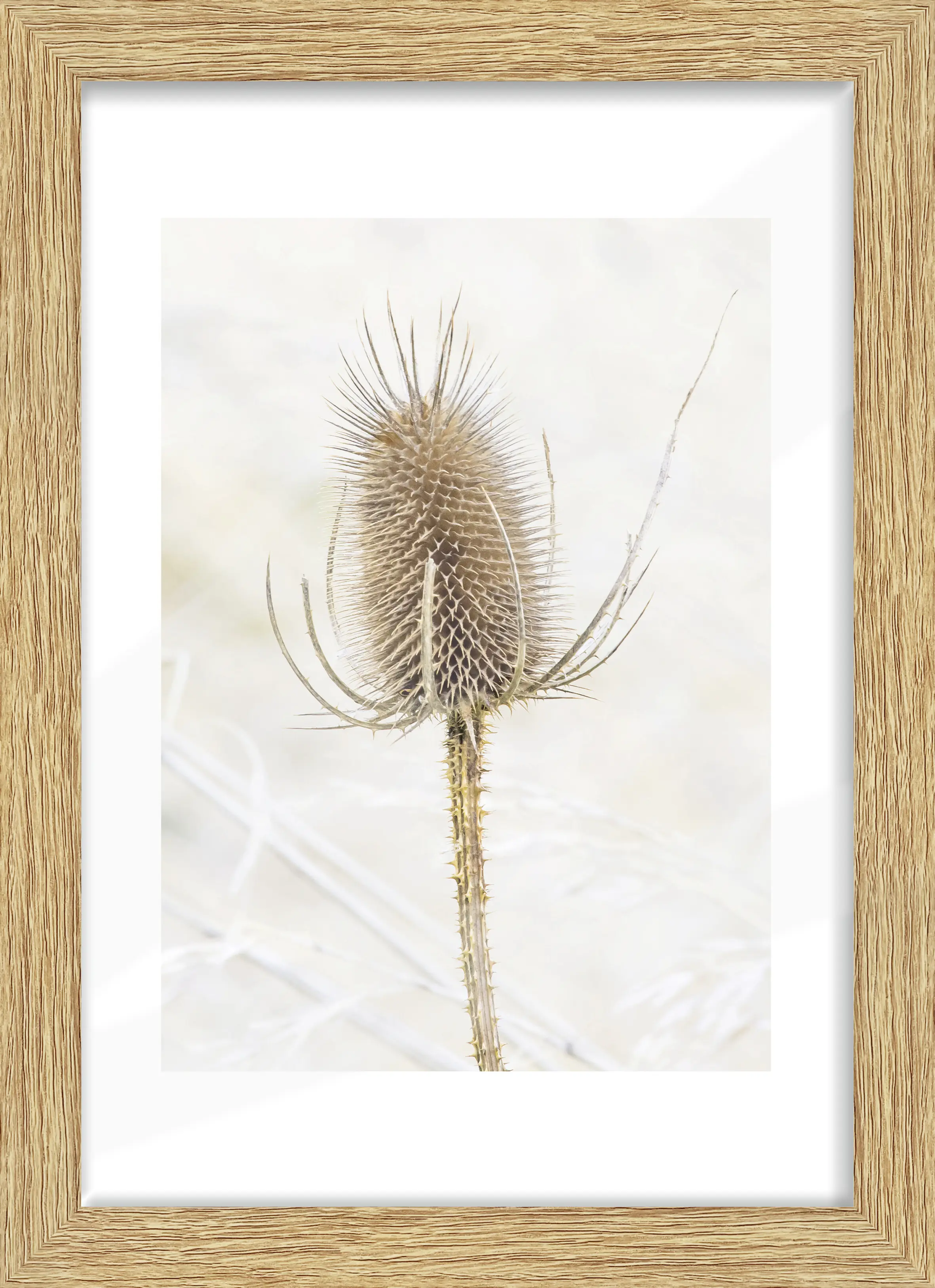 Bilderrahmen Holz Arosa eiche hell 21 x 29,7 cm