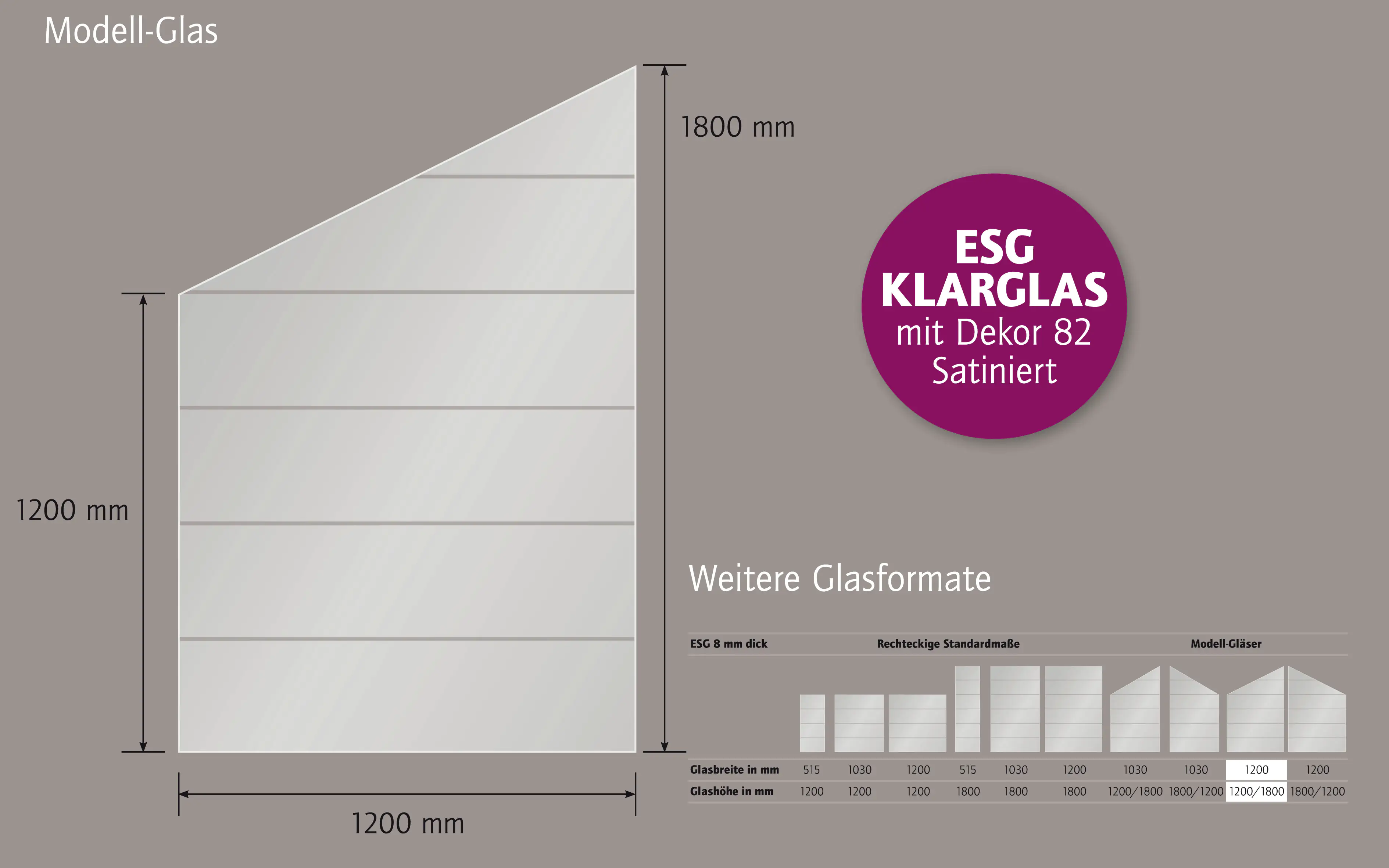 Ambiente Glaszaun Dekor 82 schräg 120 x 120/180 cm gehärtetes 8 mm Glas