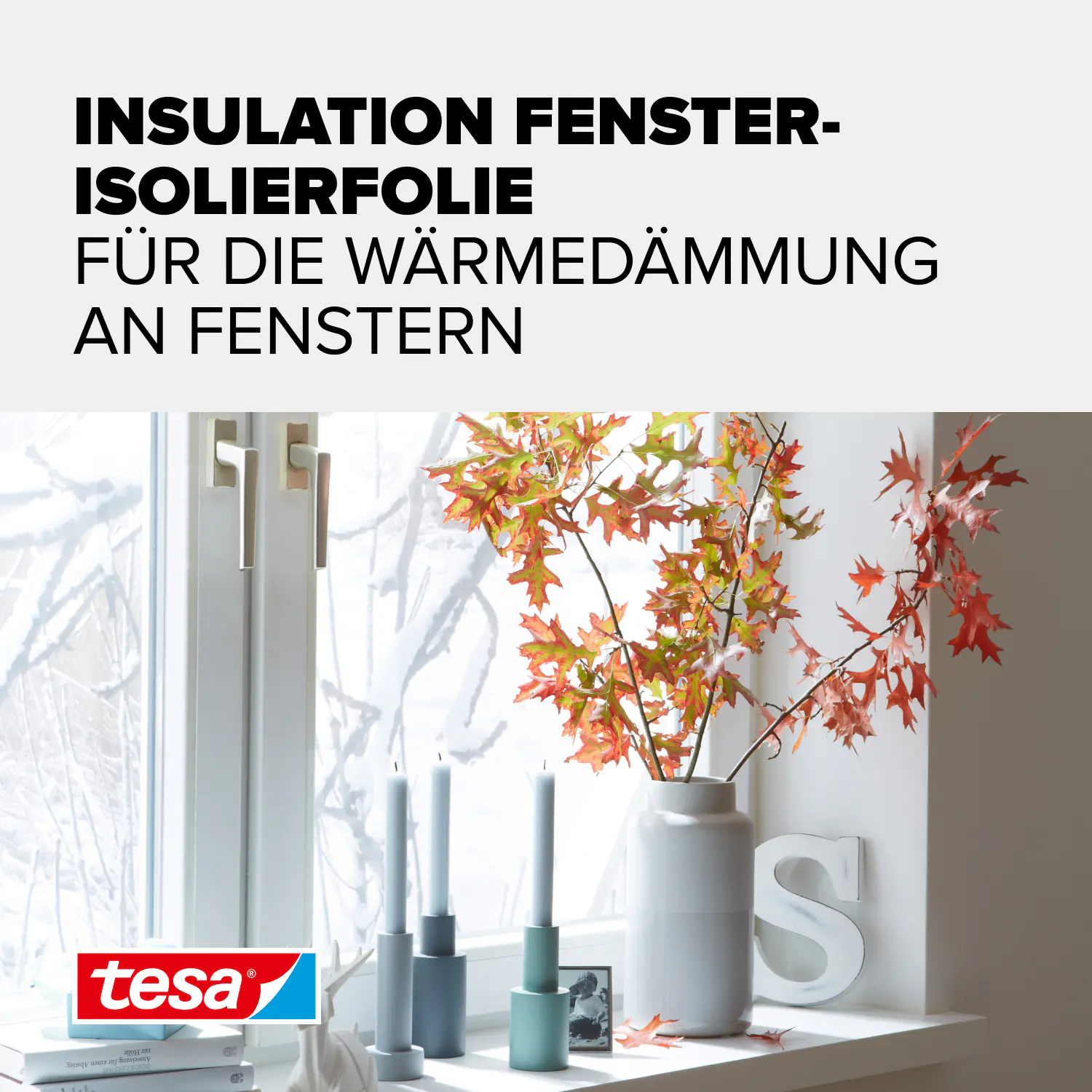 tesa Moll Fenster-Isolierfolie Thermo Cover 1,7 x 1,5 m