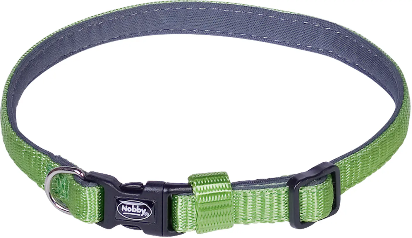 Nobby Hundehalsband Classic Preno Mini XS-S grün