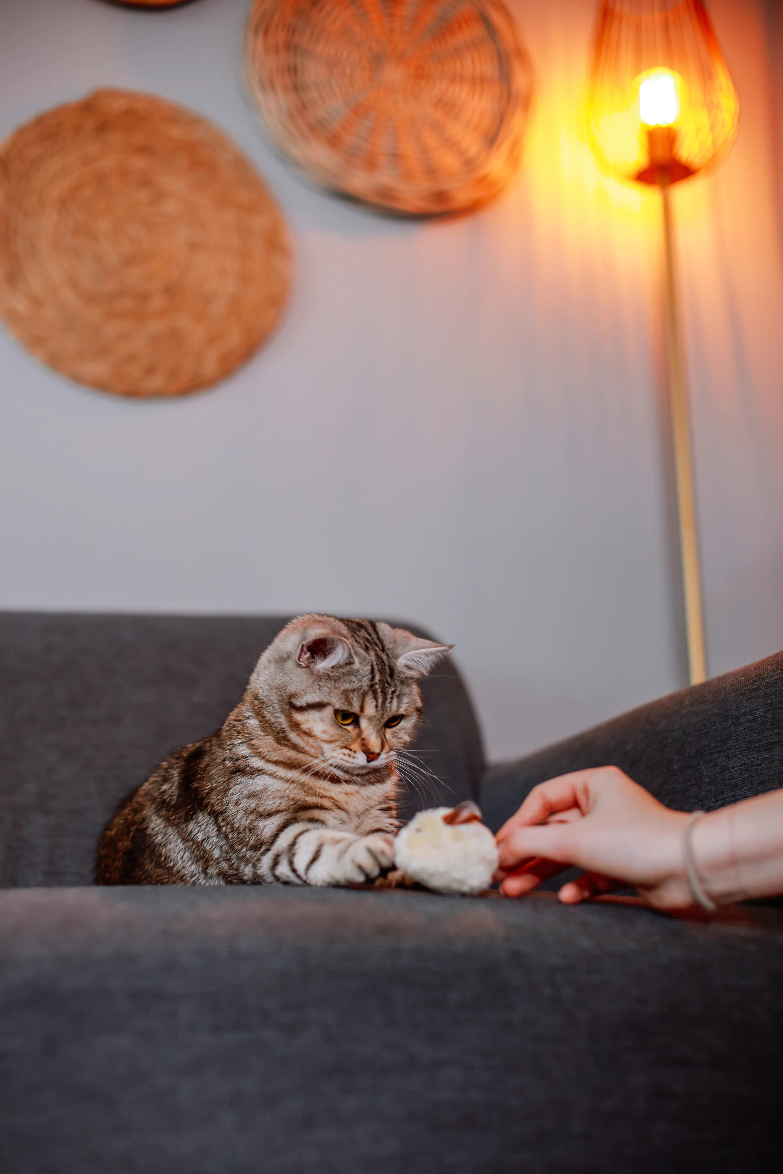 Nobby Katzenspielzeug Plüschmaus mit Lederschwanz 6 cm - 3 Stk.