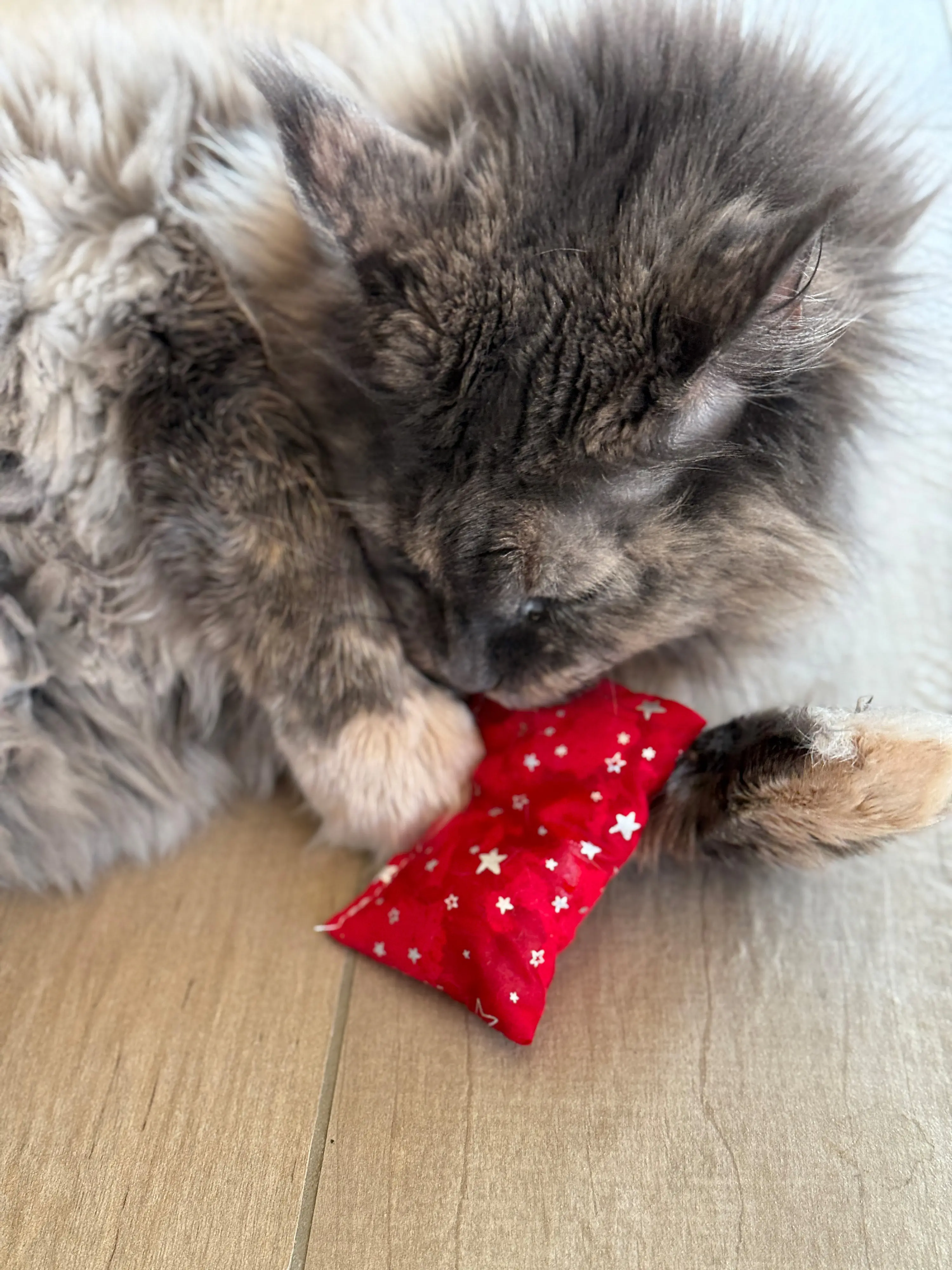 Aumüller Katzenspielzeug Weihnachten Kissen 10 cm grau rot - 2 Stk.