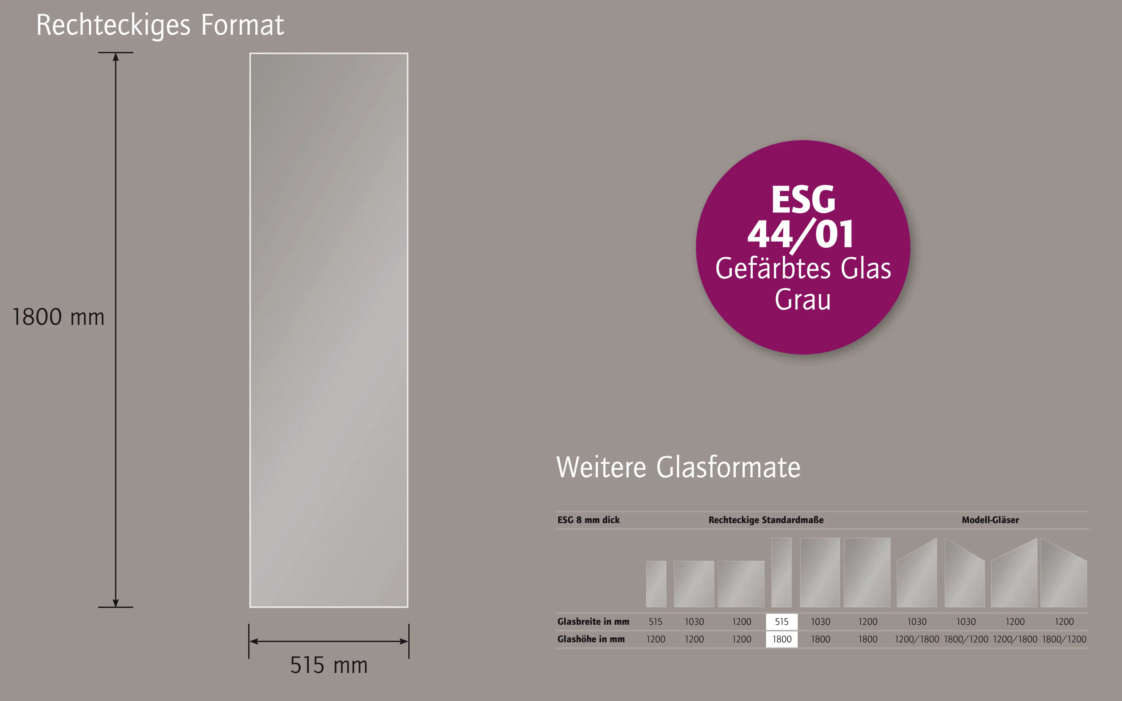 Ambiente Glaszaun B x H: 51,5 cm x 180 cm, gehärtetes 8 mm Glas