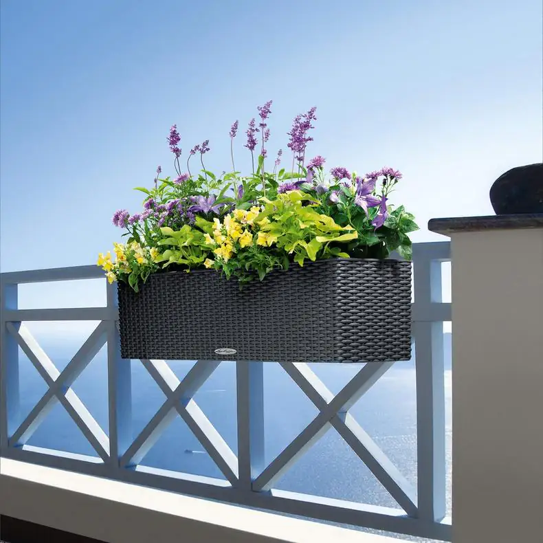 Lechuza Balkonkasten BALCONERA Cottage 80 cm, graphitschwarz