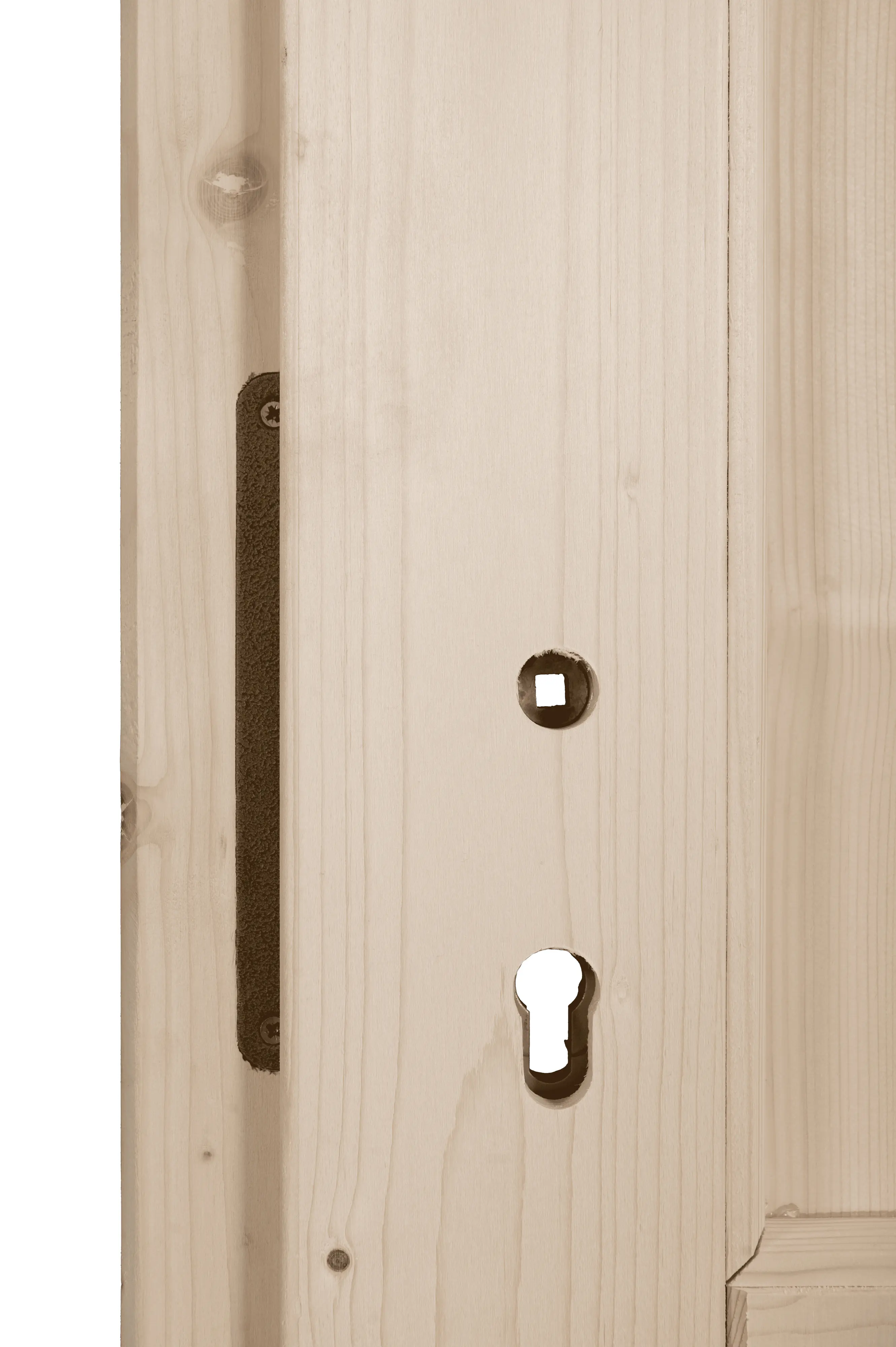 Panto Nebeneingangstür Holz 506 98 x 198 cm DIN links
