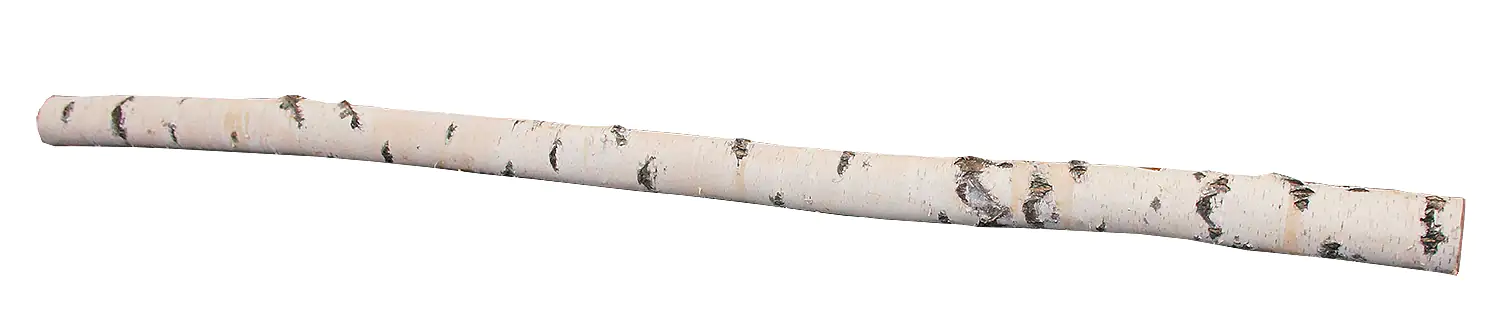 Birkenholzstamm 100% Natur 250 cm