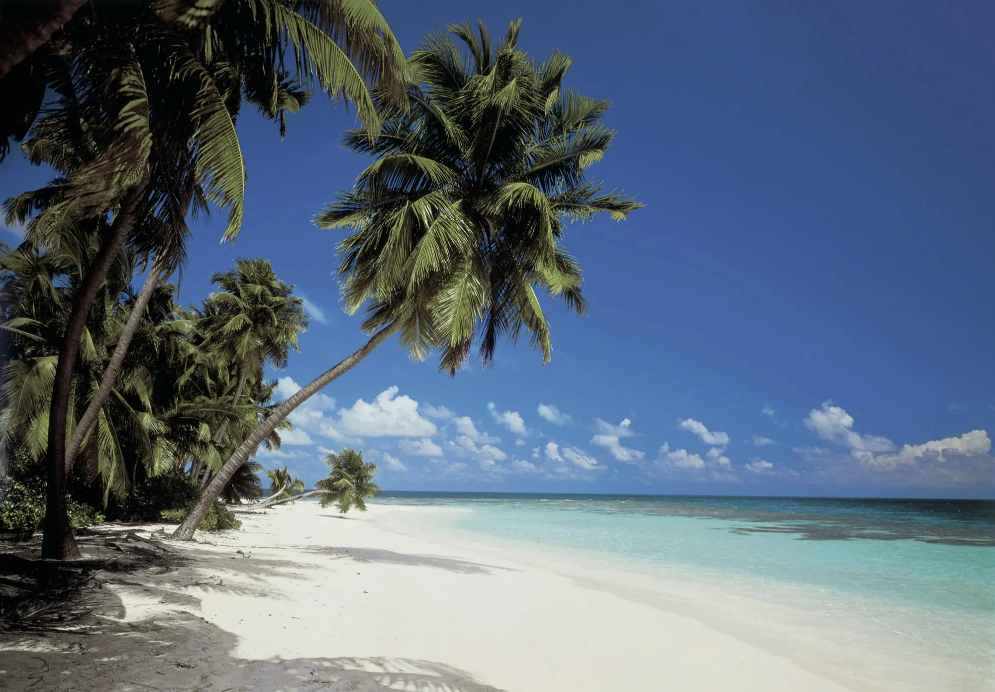 Komar Fototapete Maledives 368 x 254 cm 