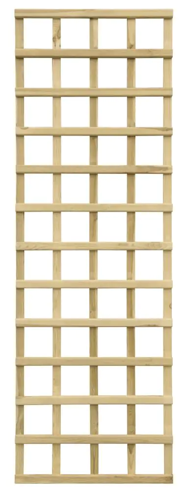 Rankgitter 60 x 180 cm kesseldruckimprägniert