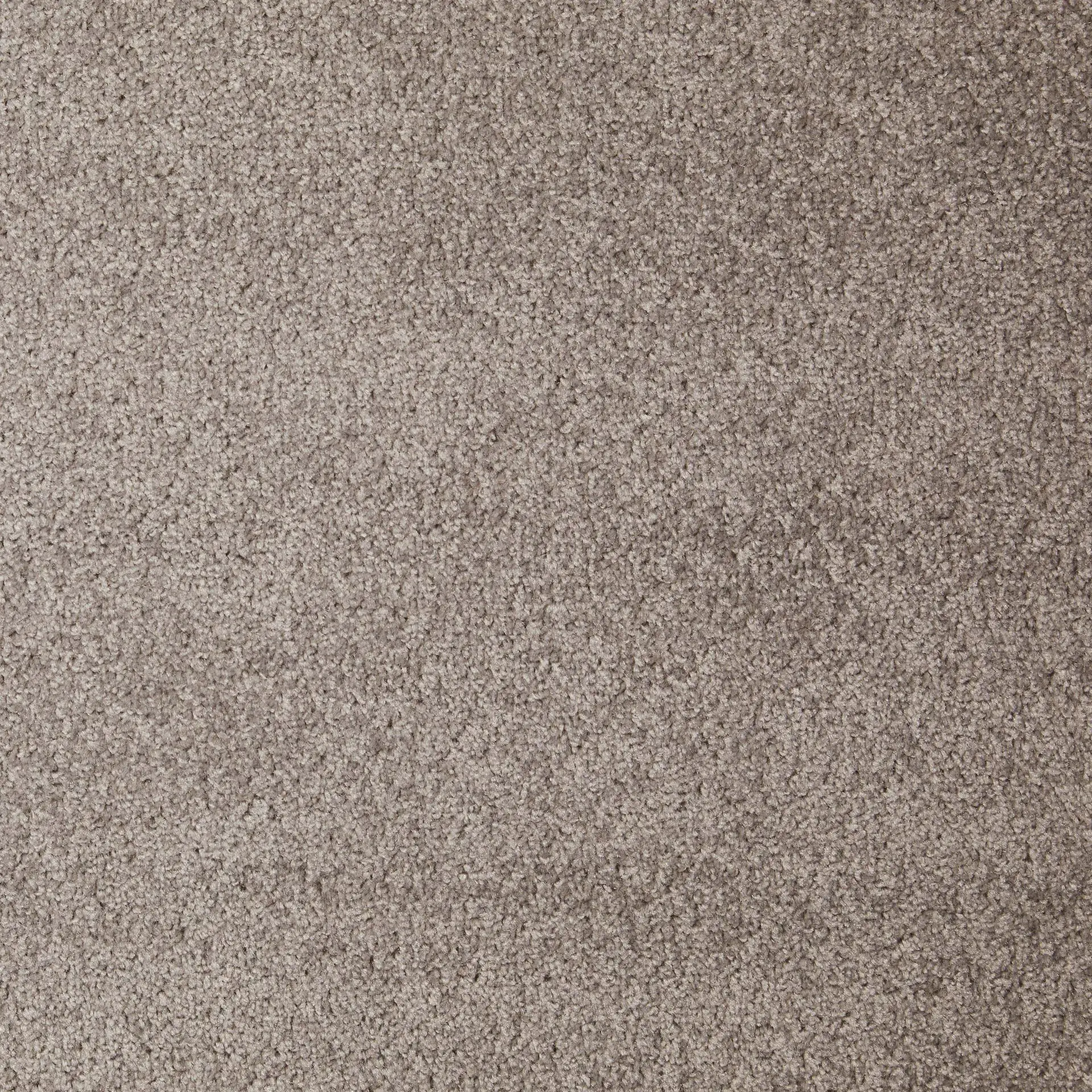 Teppichboden Lisa grau 4 m breit (Meterware)