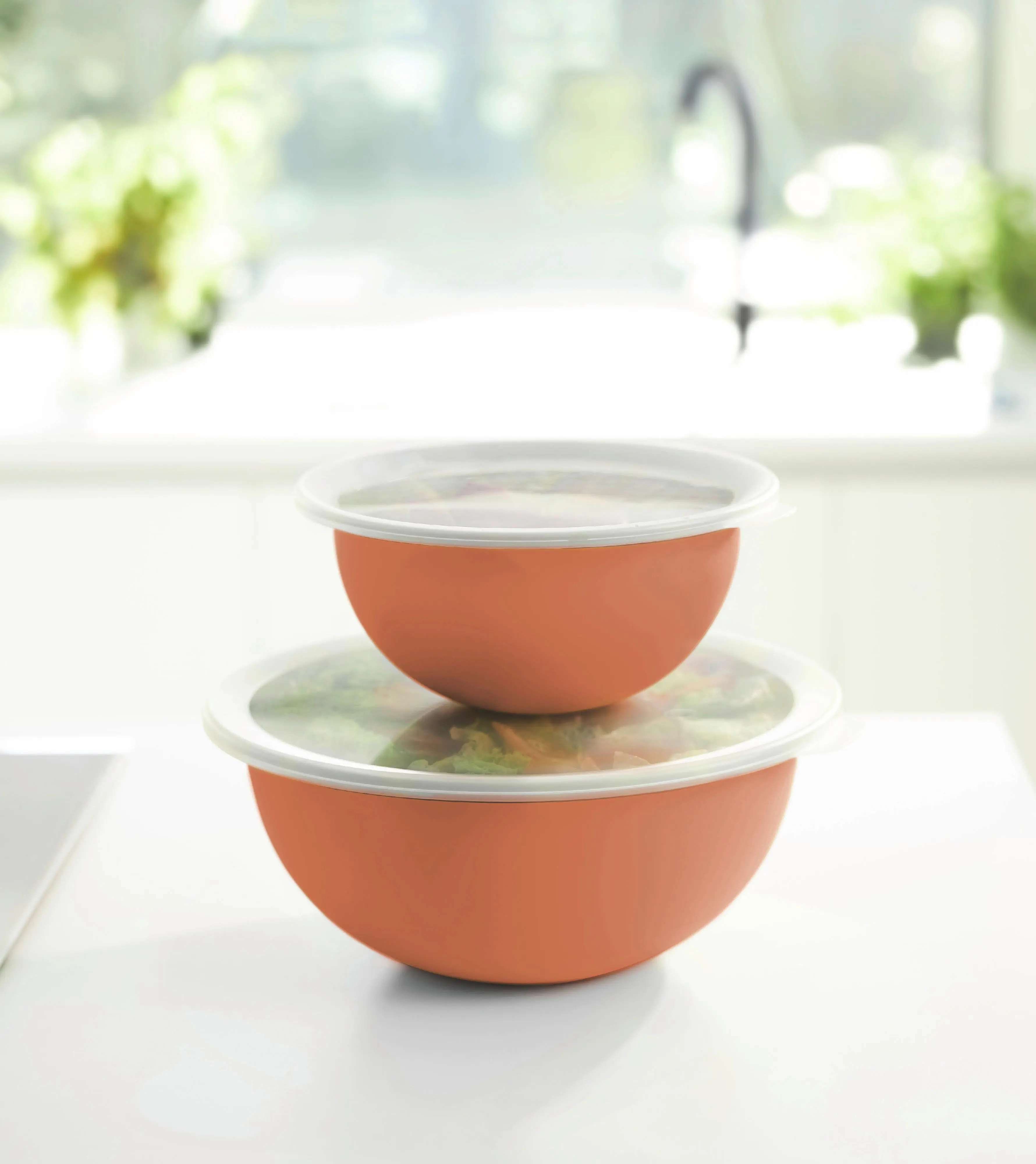 Rotho Schüssel + Deckel Caruba 3 L coral clay