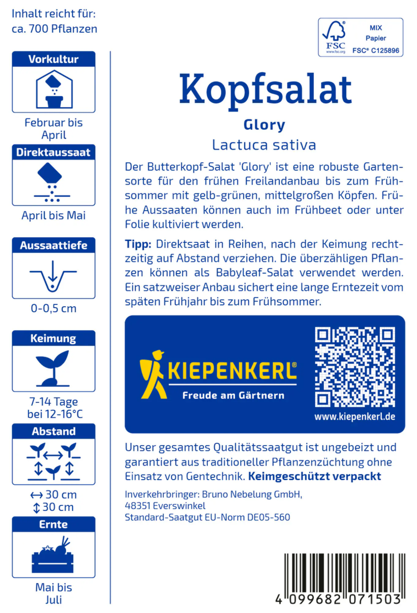Kiepenkerl Saatgut Kopfsalat Glory für ca. 700 Pflanzen