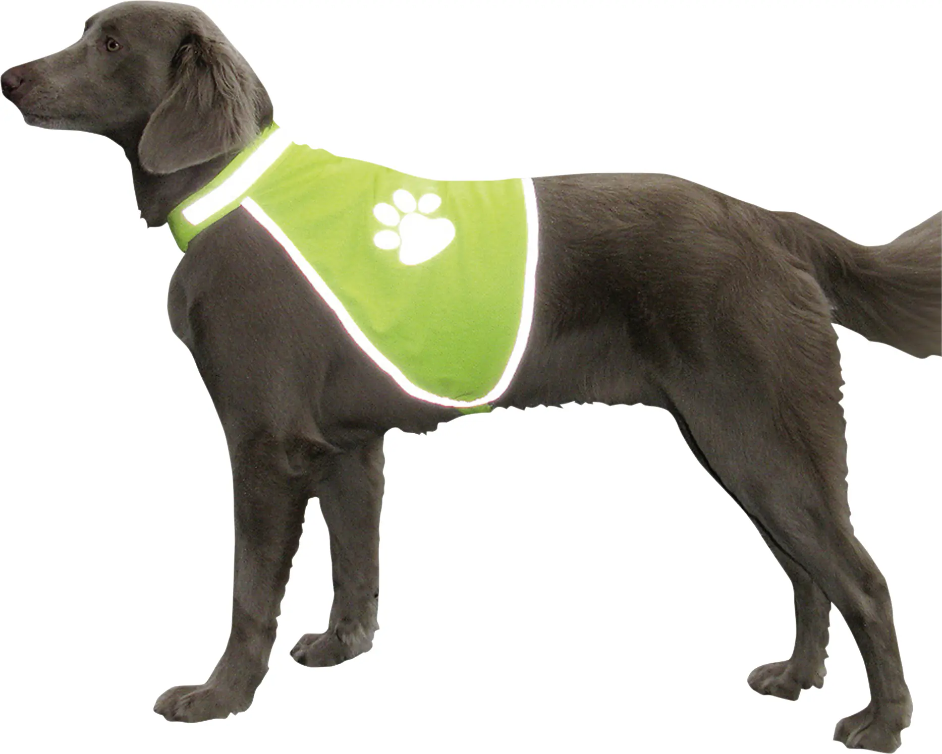 Nobby Sicherheitsweste Hund 48 - 62 cm neon