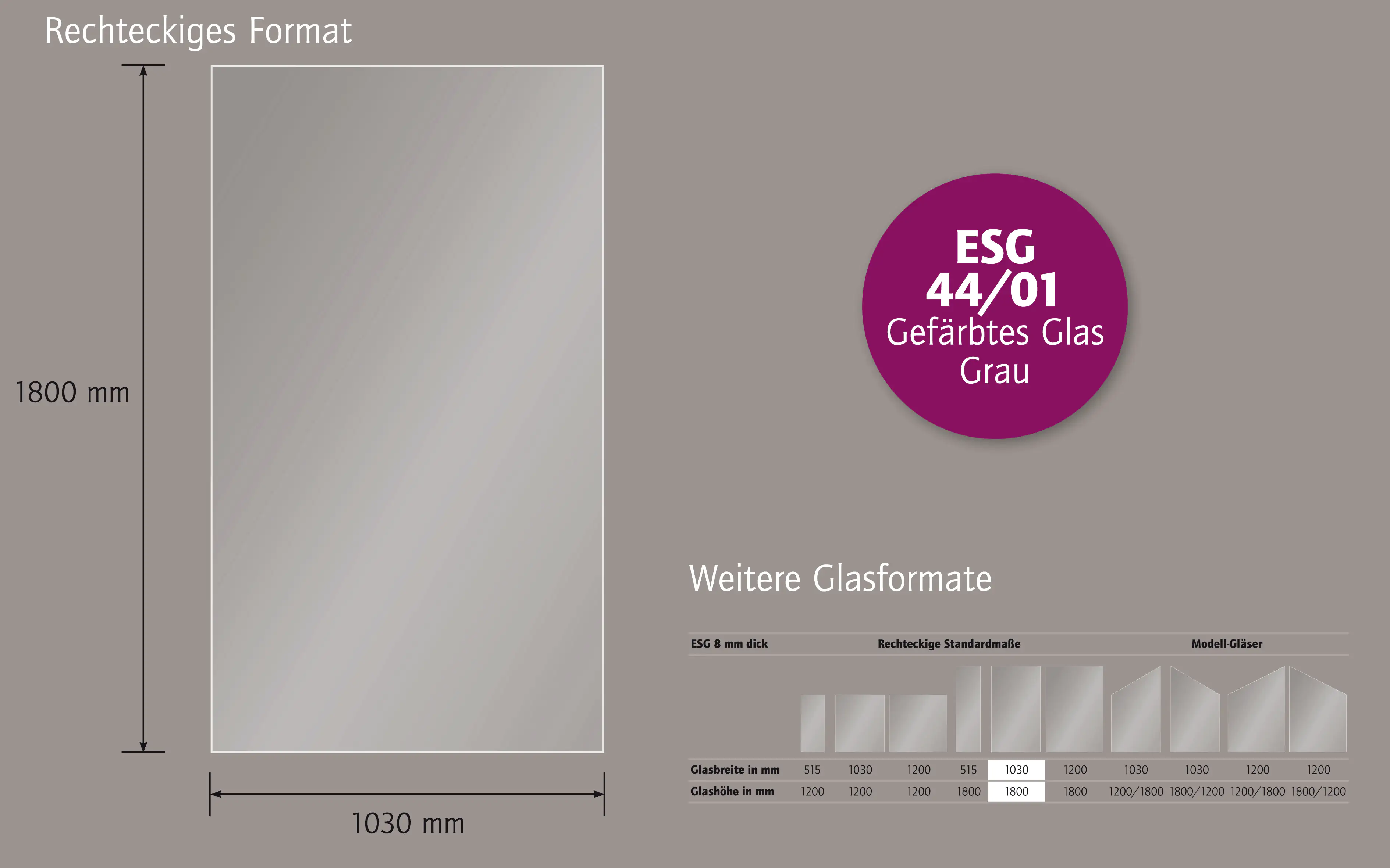 Ambiente Glaszaun B x H: 103 cm x 180 cm, gehärtetes 8 mm Glas