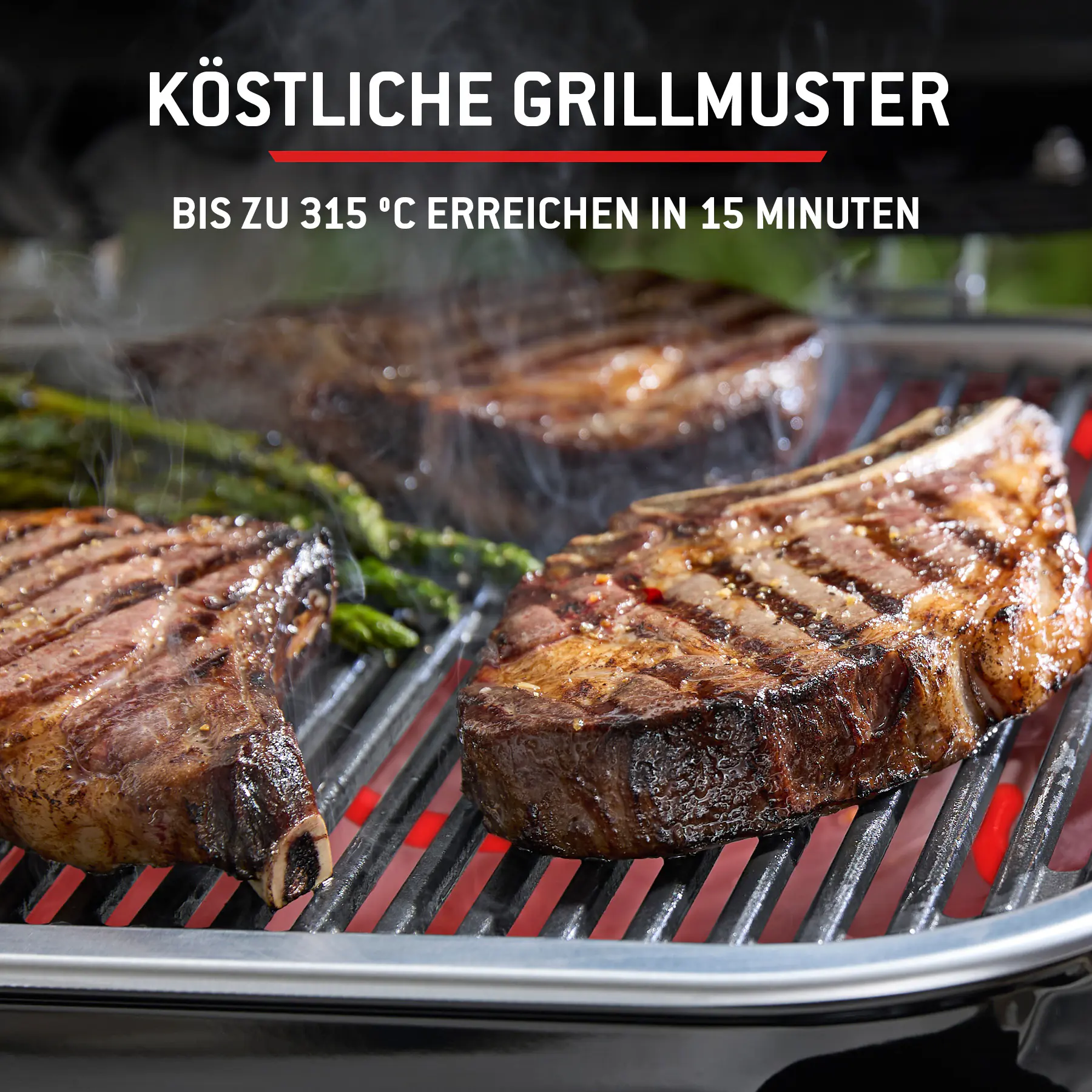 Weber Elektrogrill Lumin Compact Grillfläche: 43 x 28 cm