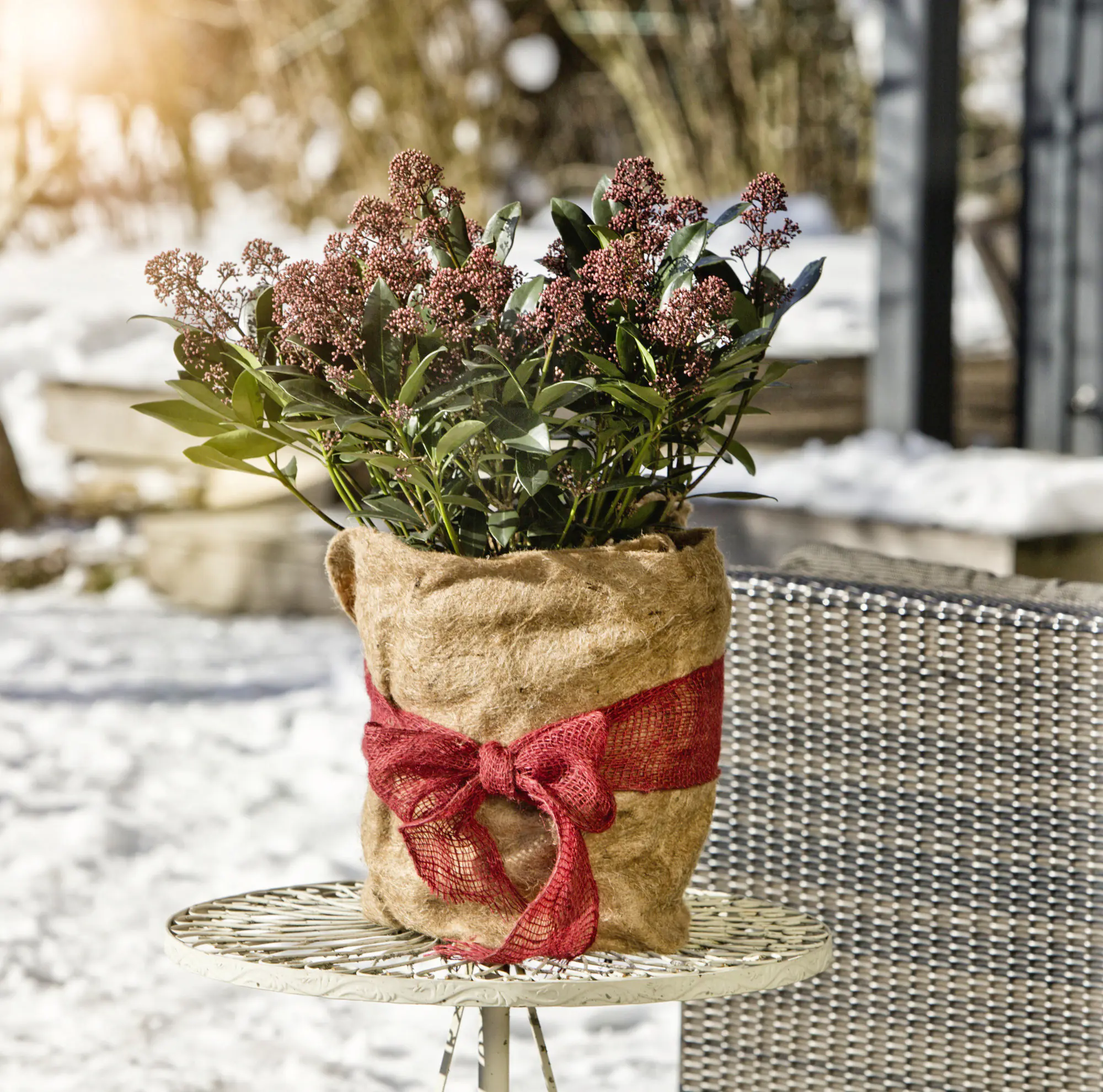 Windhager Winterschutz für Pflanzen Jute 0,5 x 4 m natur