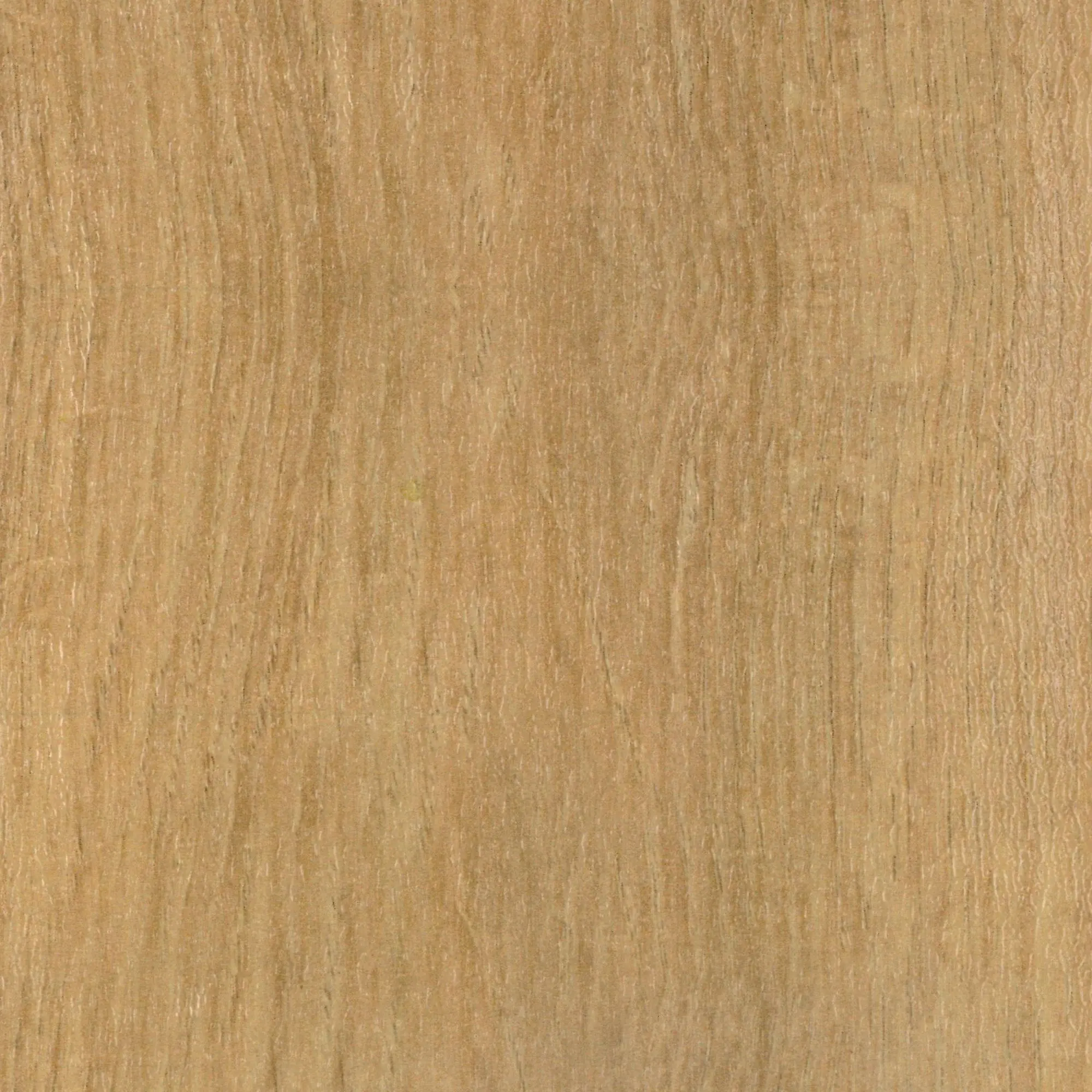 Neuhofer Übergangsprofil Dow-Fix 06 90 x 3,7 x 0,6 cm braun