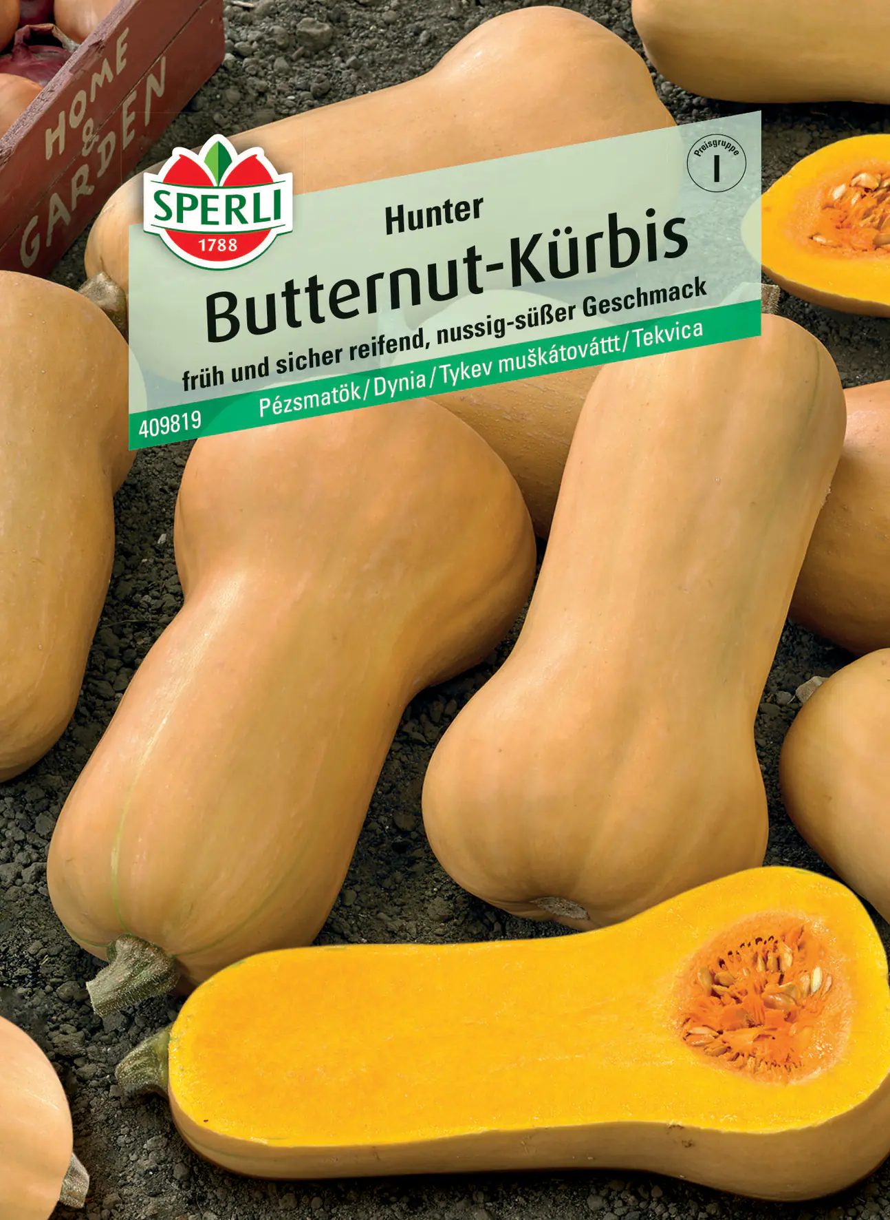 Sperli Butternutkürbis Hunter F1
