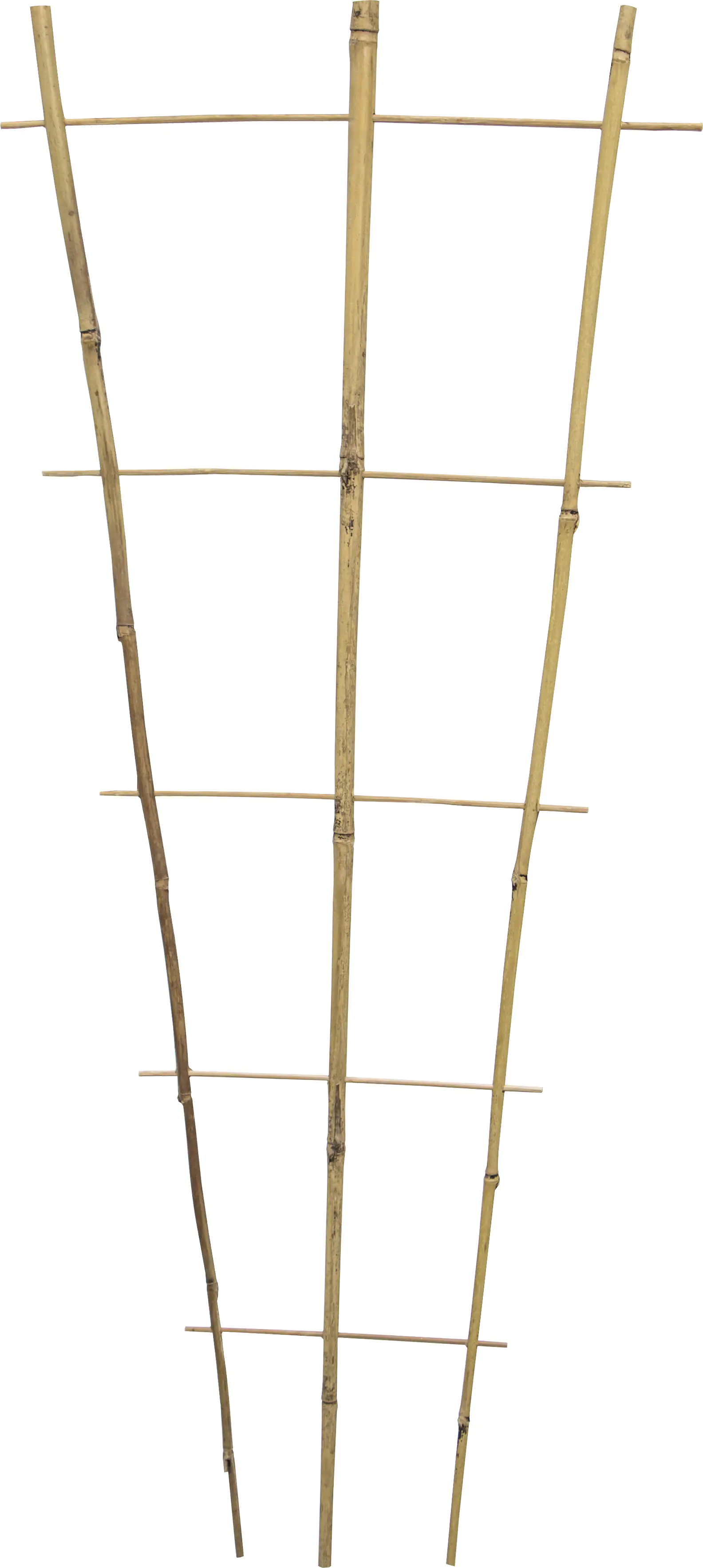 Siena Garden Rankgitter aus Bambus 85 x 33 x 12 cm