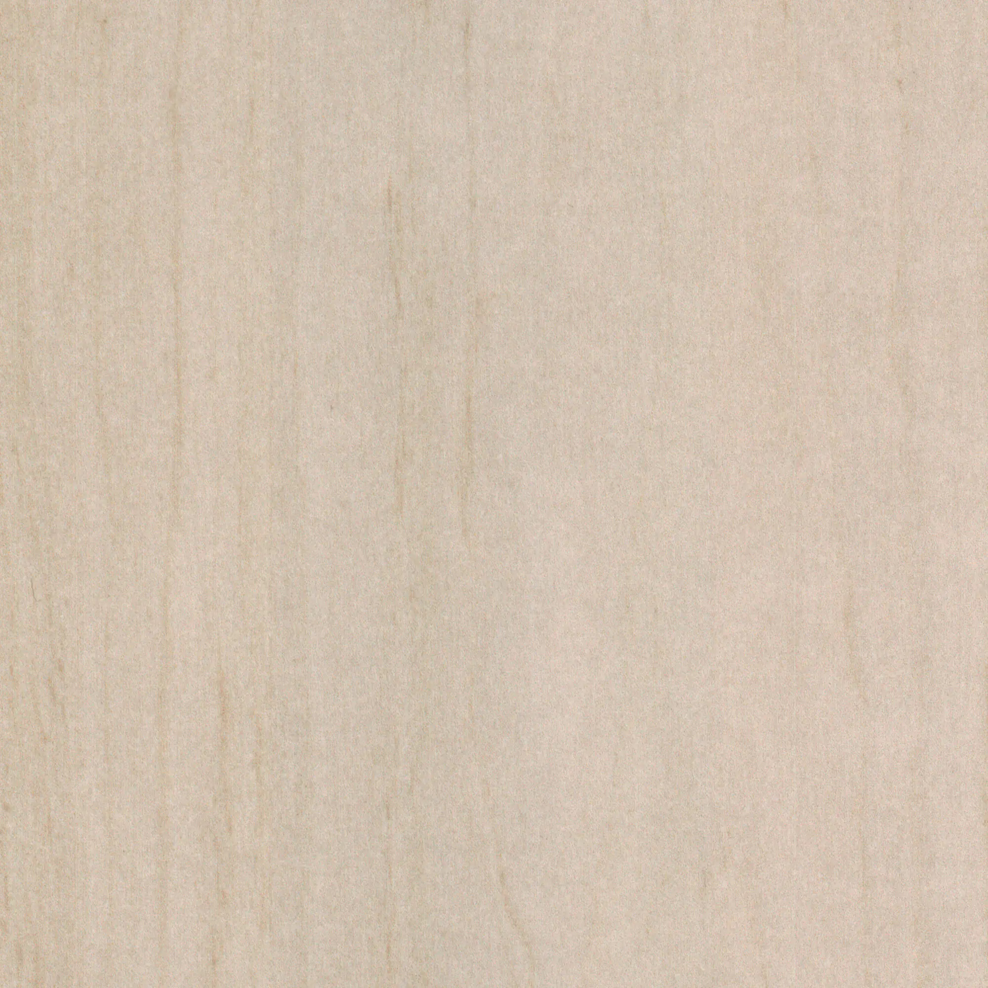 Neuhofer Fußleiste 240 cm x 58 x 19 mm Eiche Erle