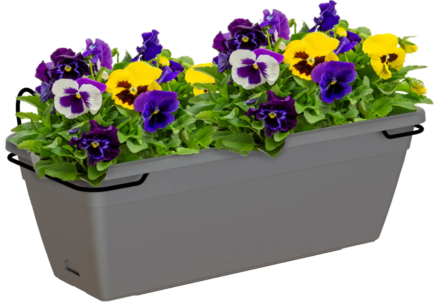 Blumenkasten Venezia 50 cm, anthrazit