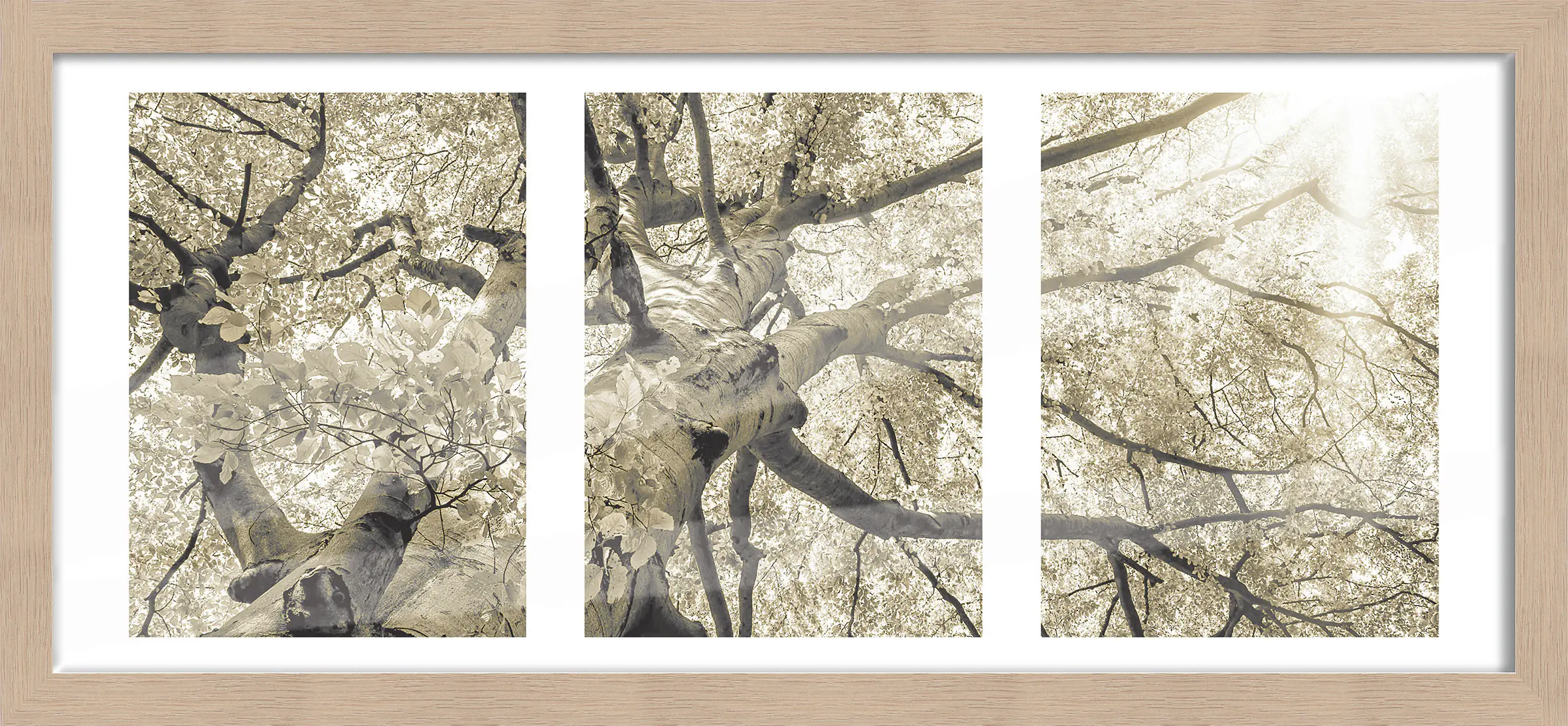 Bilderrahmen Holz Luzern duplo eiche 23 x 50 cm 
