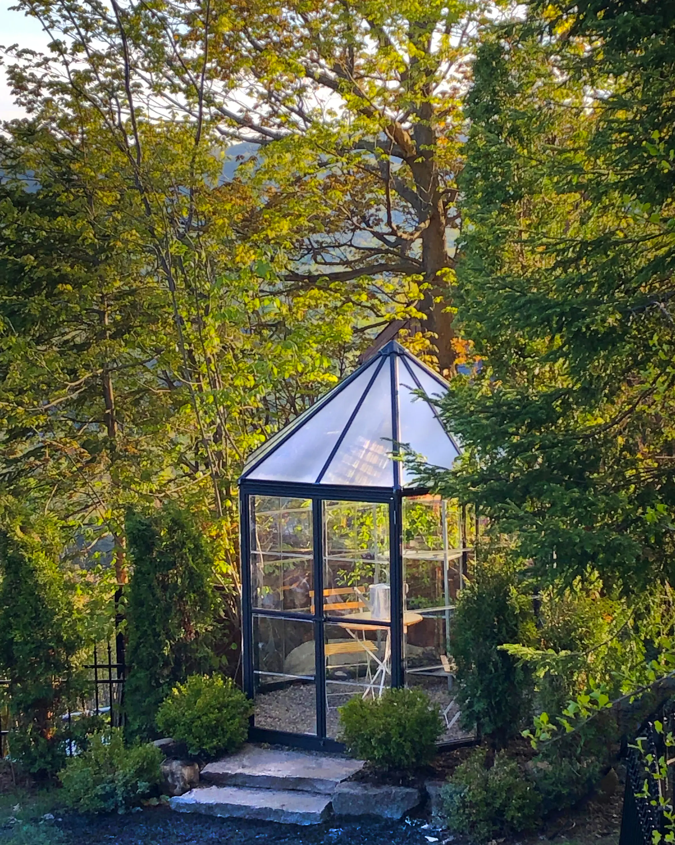 Canopia Gewächshaus Oasis 8 Alu grau 247 x 213 cm