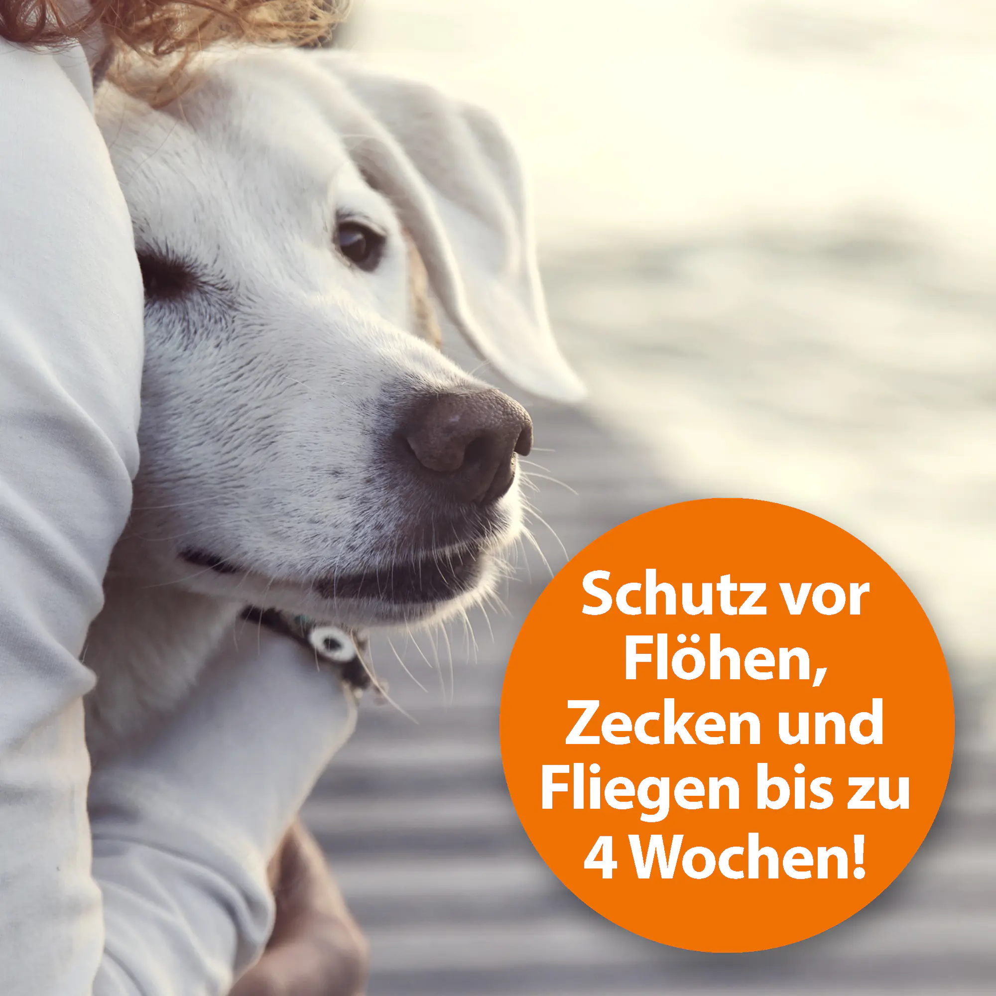 ARDAP Flohspray für Tiere 250 ml