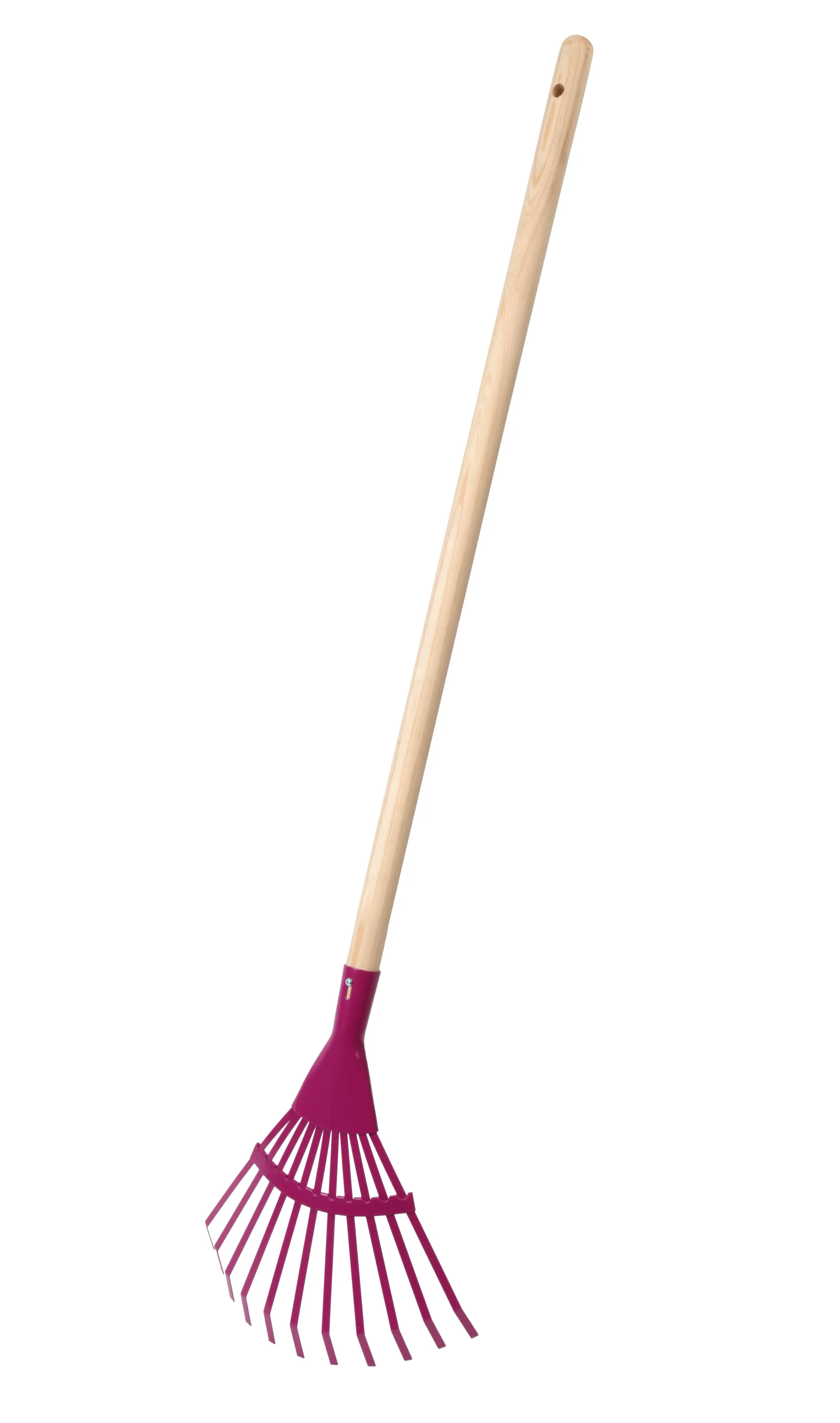 Floraworld Fächerbesen für Kinder mit Stiel 35 cm Arbeitsbreite