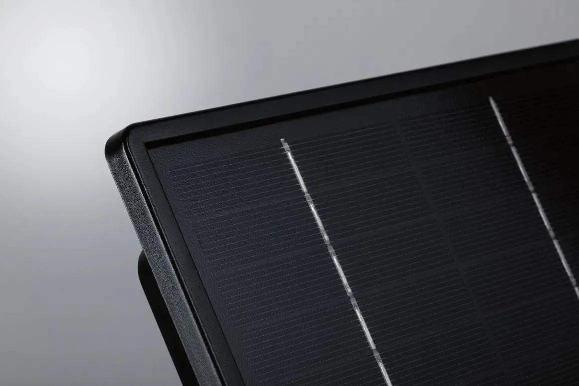 Paulmann LED-Außenleuchte Solarpanel Outdoor Plug & Shine 41,8 x 18,3 cm anthrazit