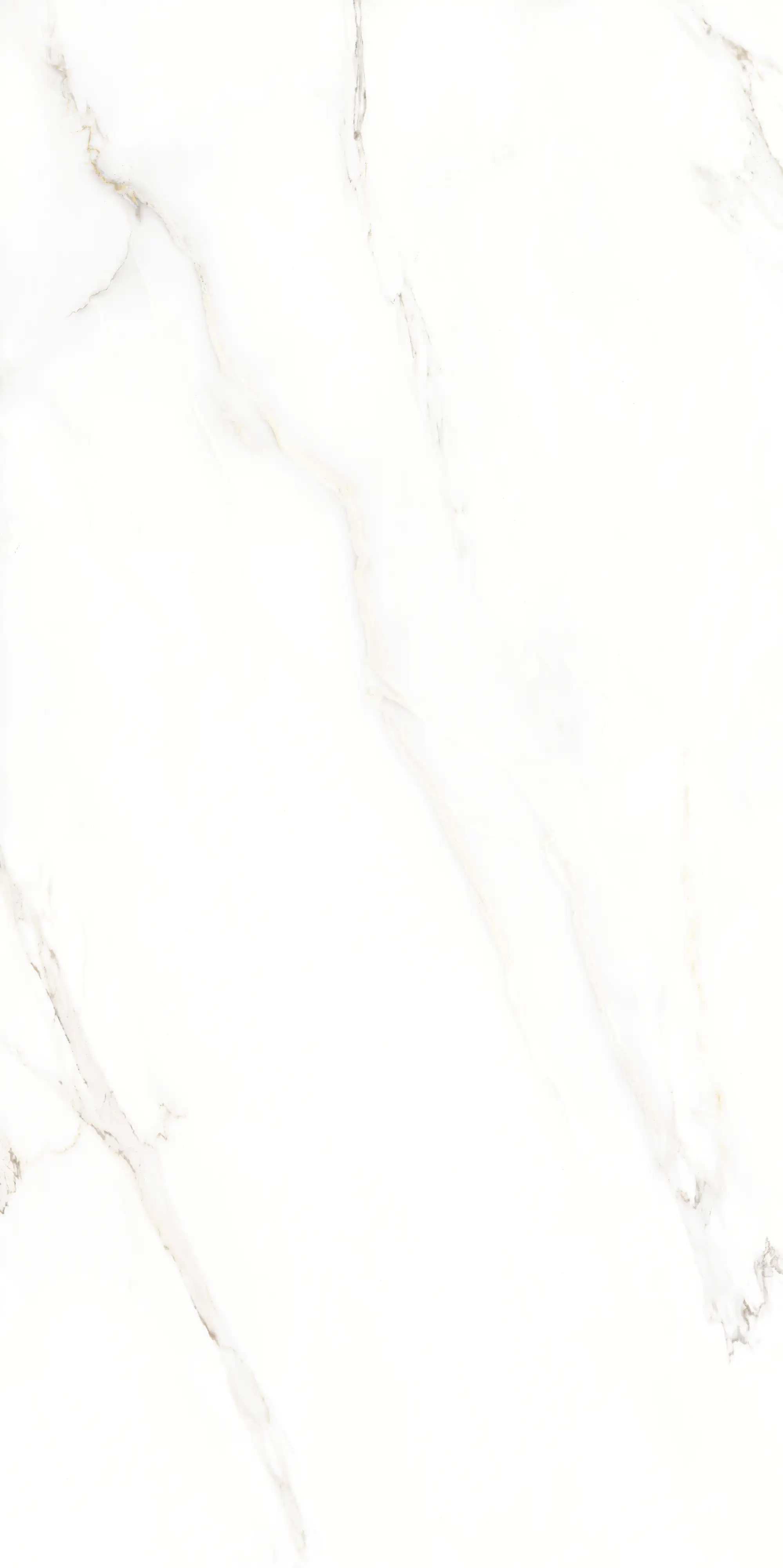 Bodenfliese Feinsteinzeug Calacatta 60 x 120 cm weiß