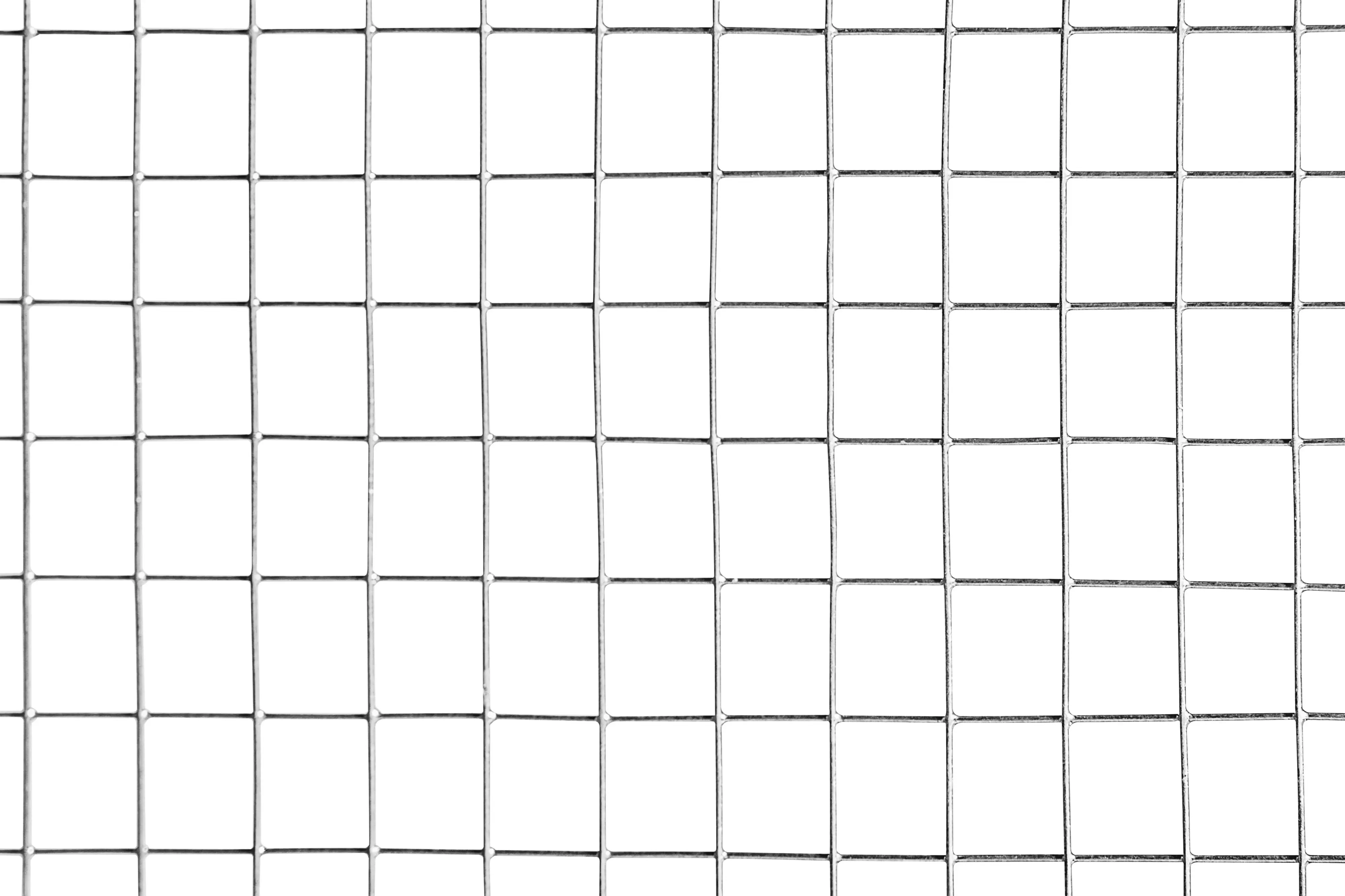 Floraworld Drahtgitter 250 x 50 cm MW 19 mm feuerverzinkt
