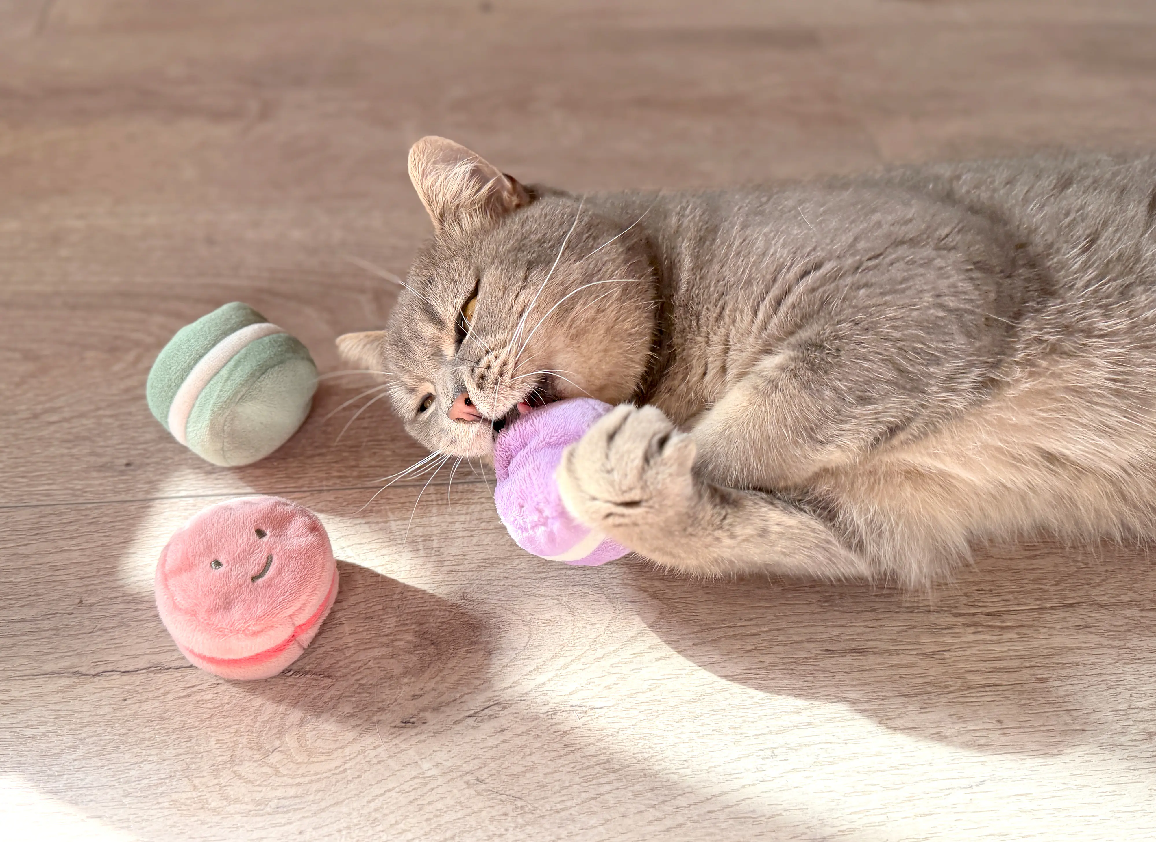 Aumüller Katzenspielzeug Kissen Macarons 5 x 4 cm 3er Pack mehrfarbig