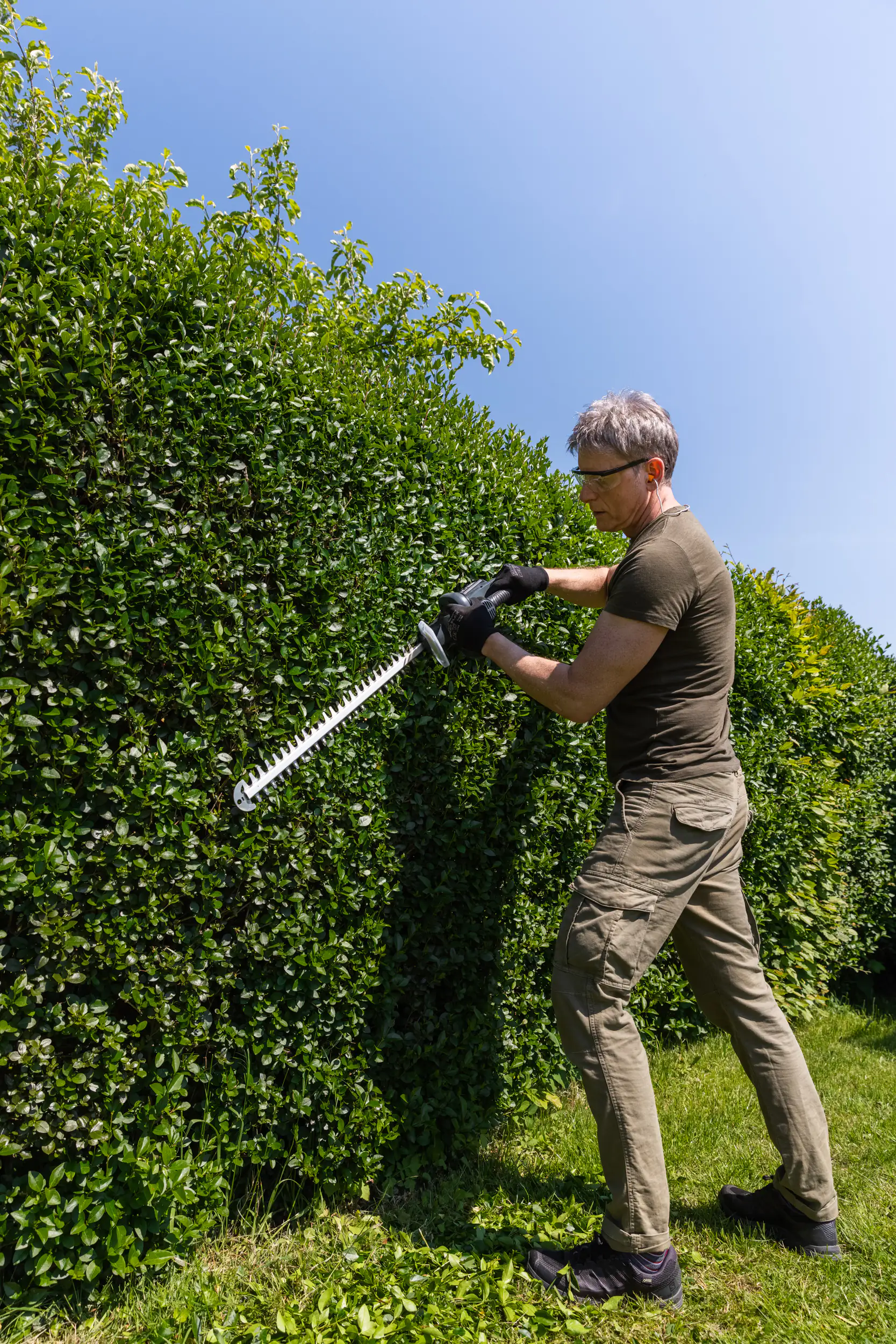 Primaster Pro Akku-Heckenschere PMAHS Pro Solo 20 V 55 cm Schnittlänge ohne Akku und Ladegerät