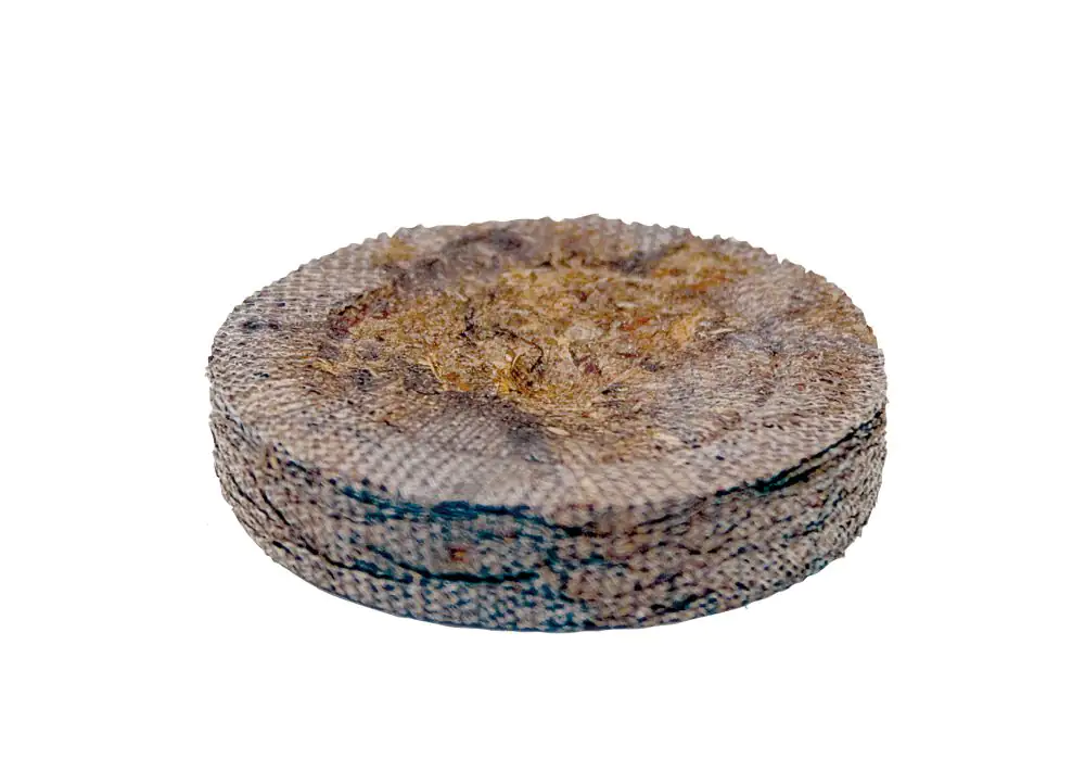 Prima Flora Kokosquelltabs Ø 3,5 cm, 20 Stück