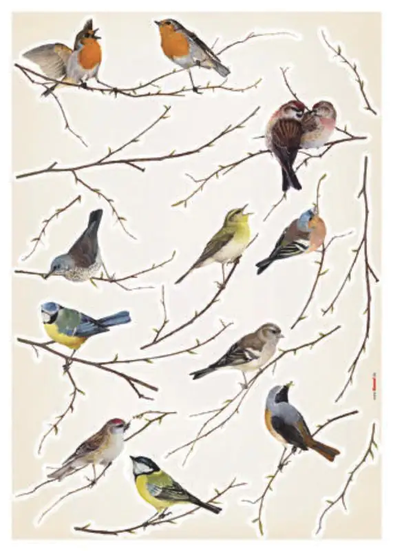 Komar Decosticker Vogel 50 x 70 cm