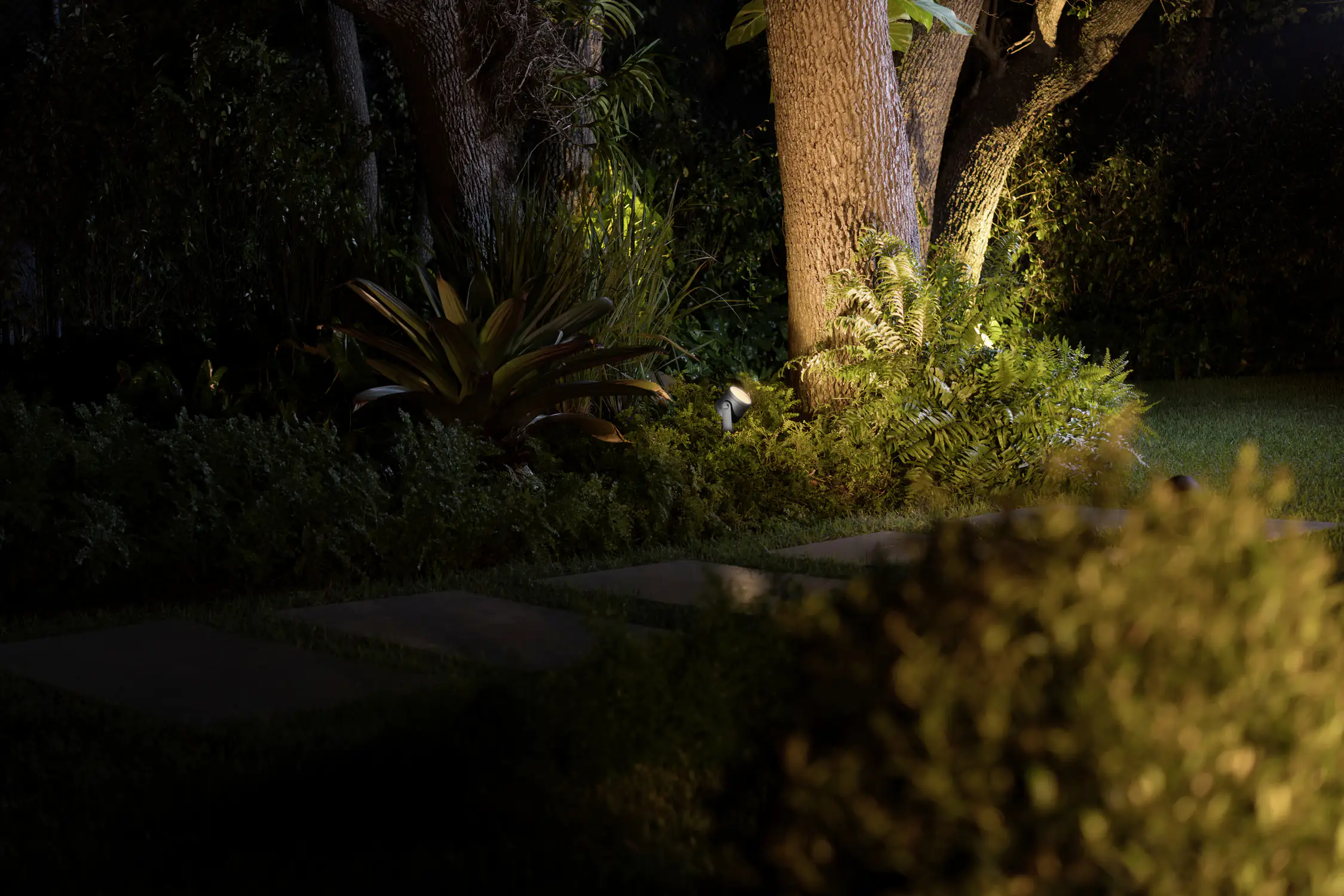 Philips Hue Außen-Spot White & Color Ambiance Lily XL schwarz RGB