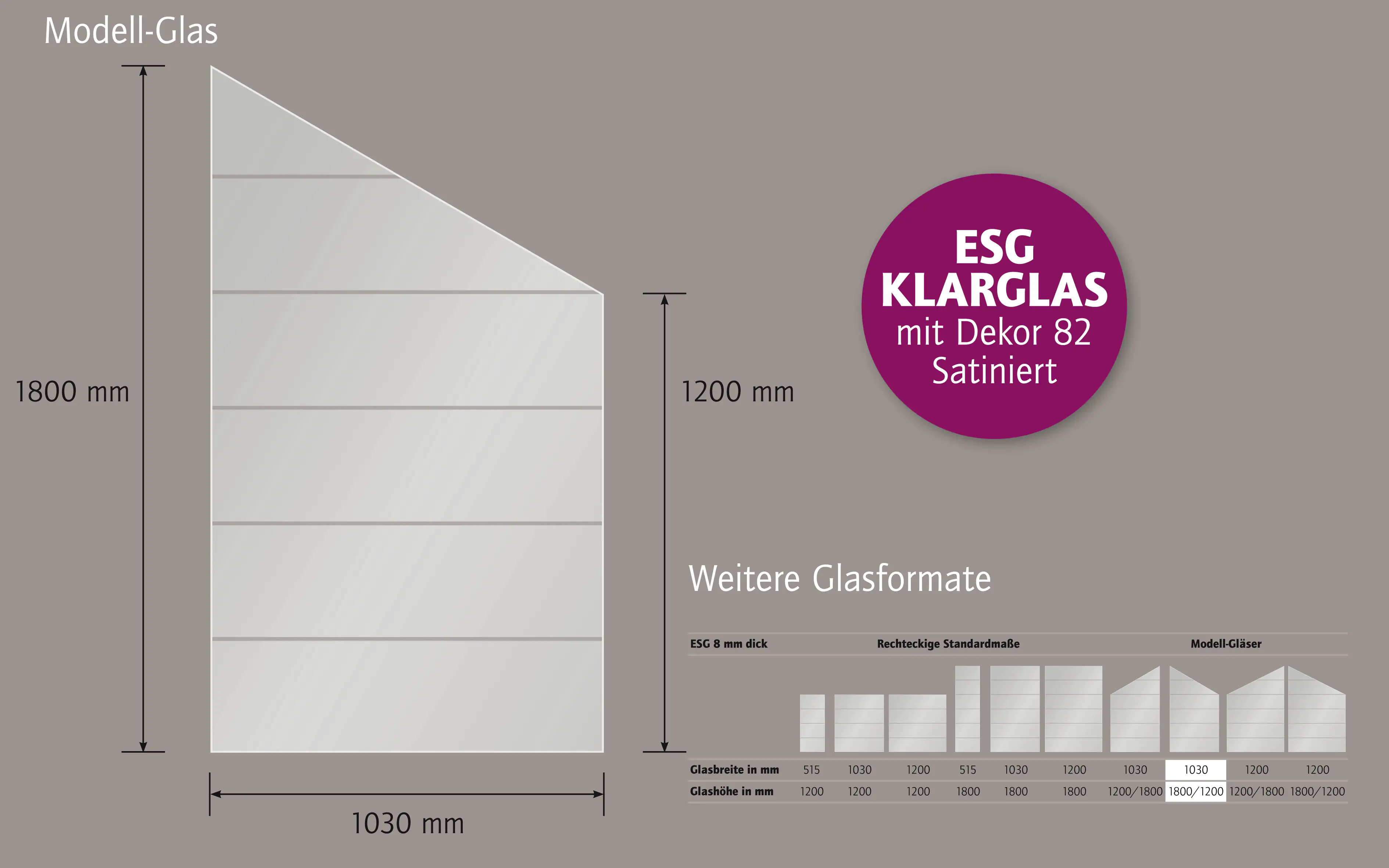 Ambiente Glaszaun Dekor 82 schräg 103 x 180/120 cm gehärtetes 8 mm Glas