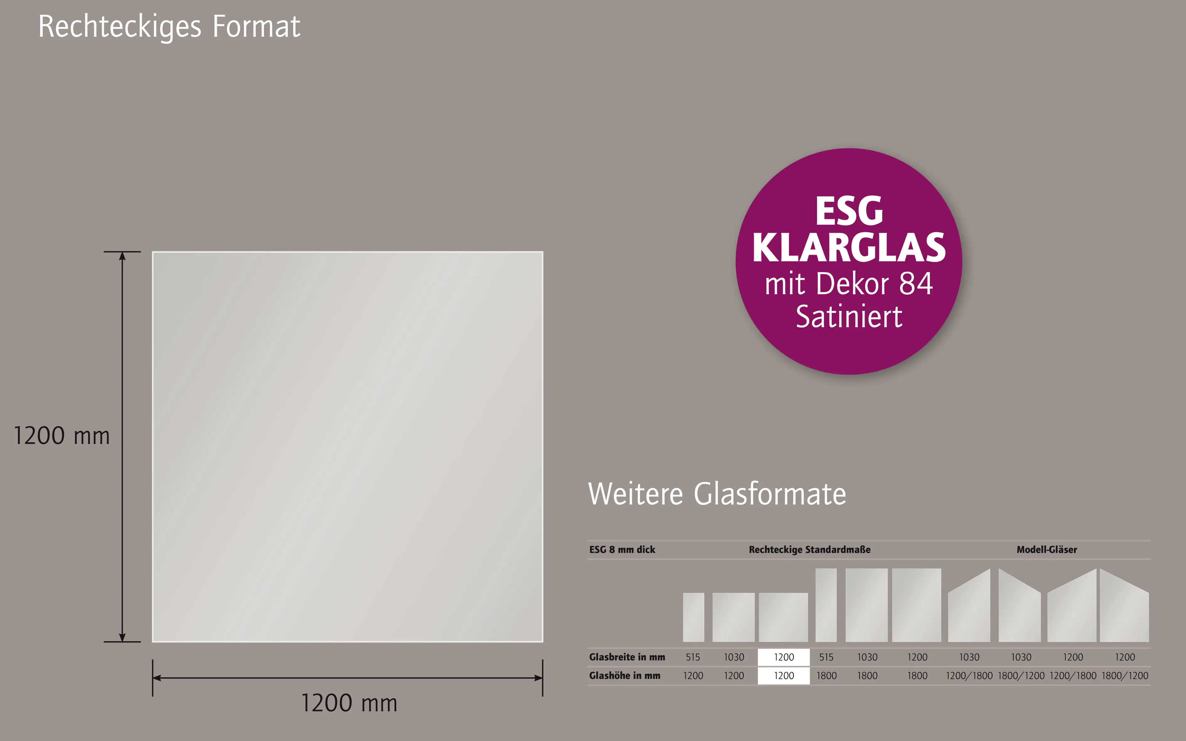 Ambiente Glaszaun Dekor 84 120 x 120 cm gehärtetes 8 mm Glas