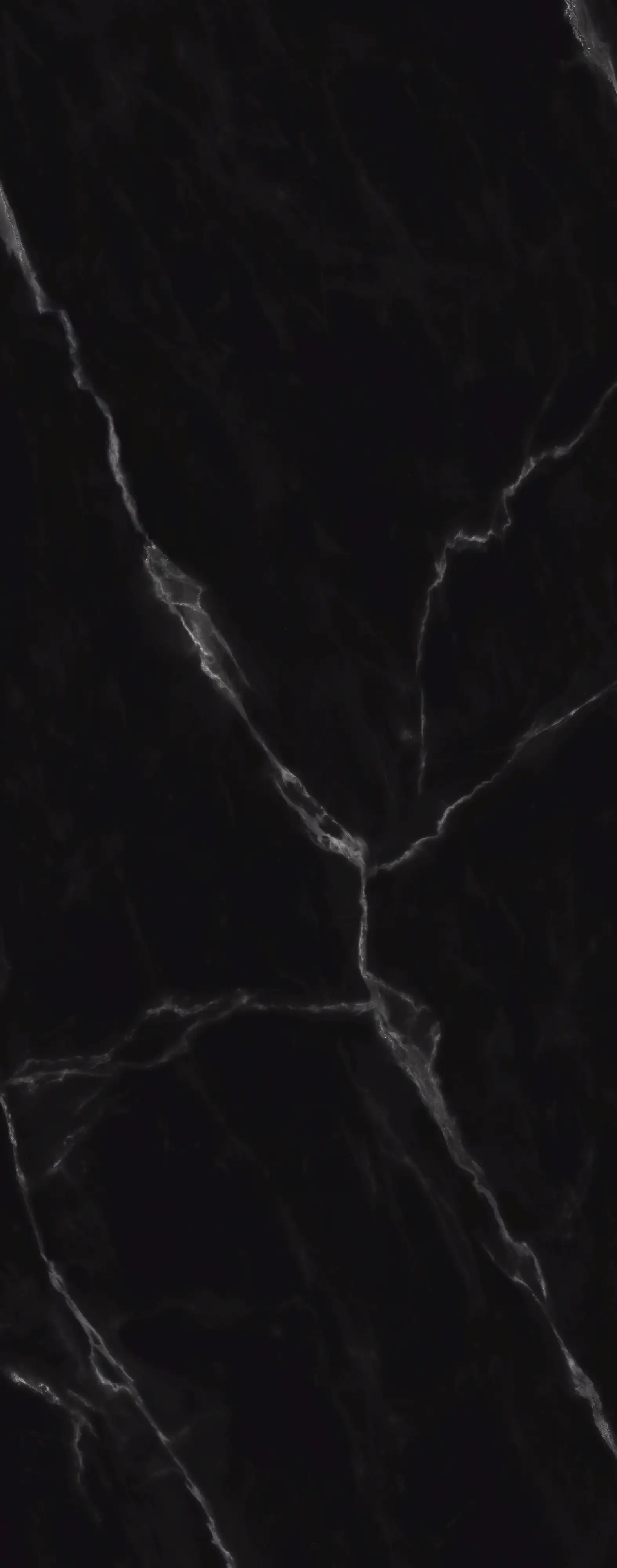 Schulte Duschrückwand Softtouch Stein Marmor-schwarz 100 x 255 cm
