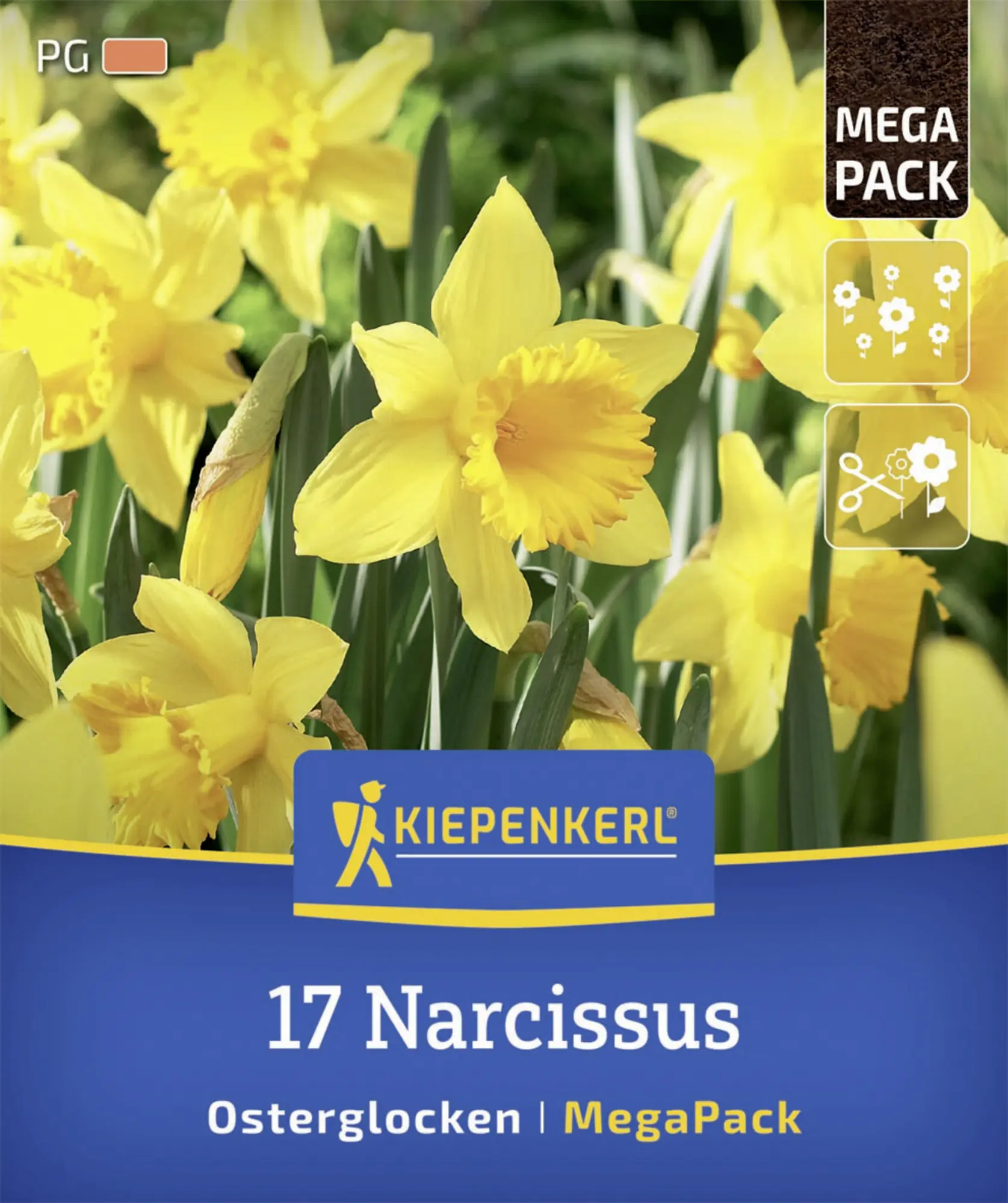 Kiepenkerl Herbstblumenzwiebel Mega-Pack Osterglocken 17 Stück