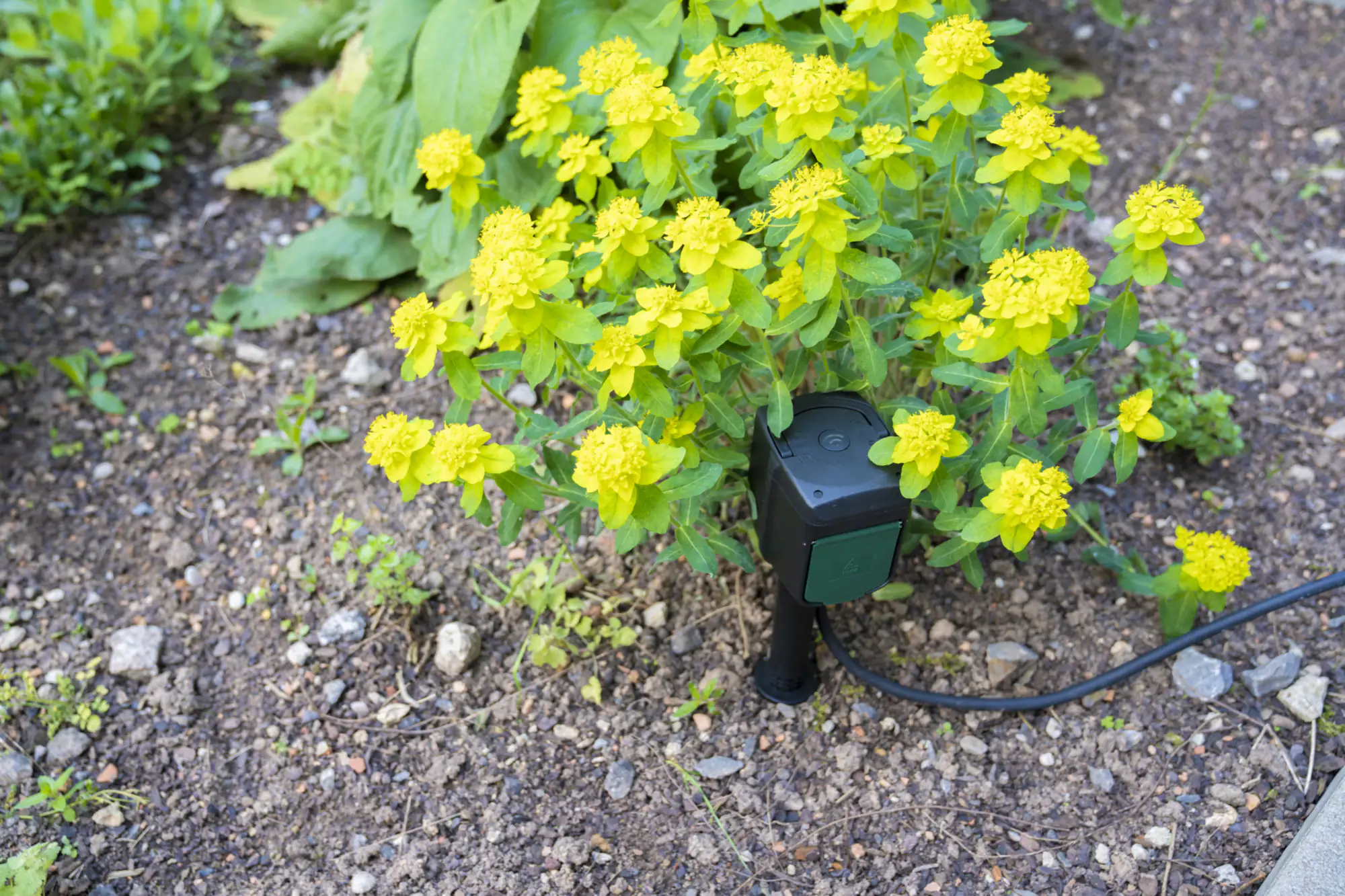 UniTec WiFi Outdoor Steckdosen-Erdspieß 2-fach IP44