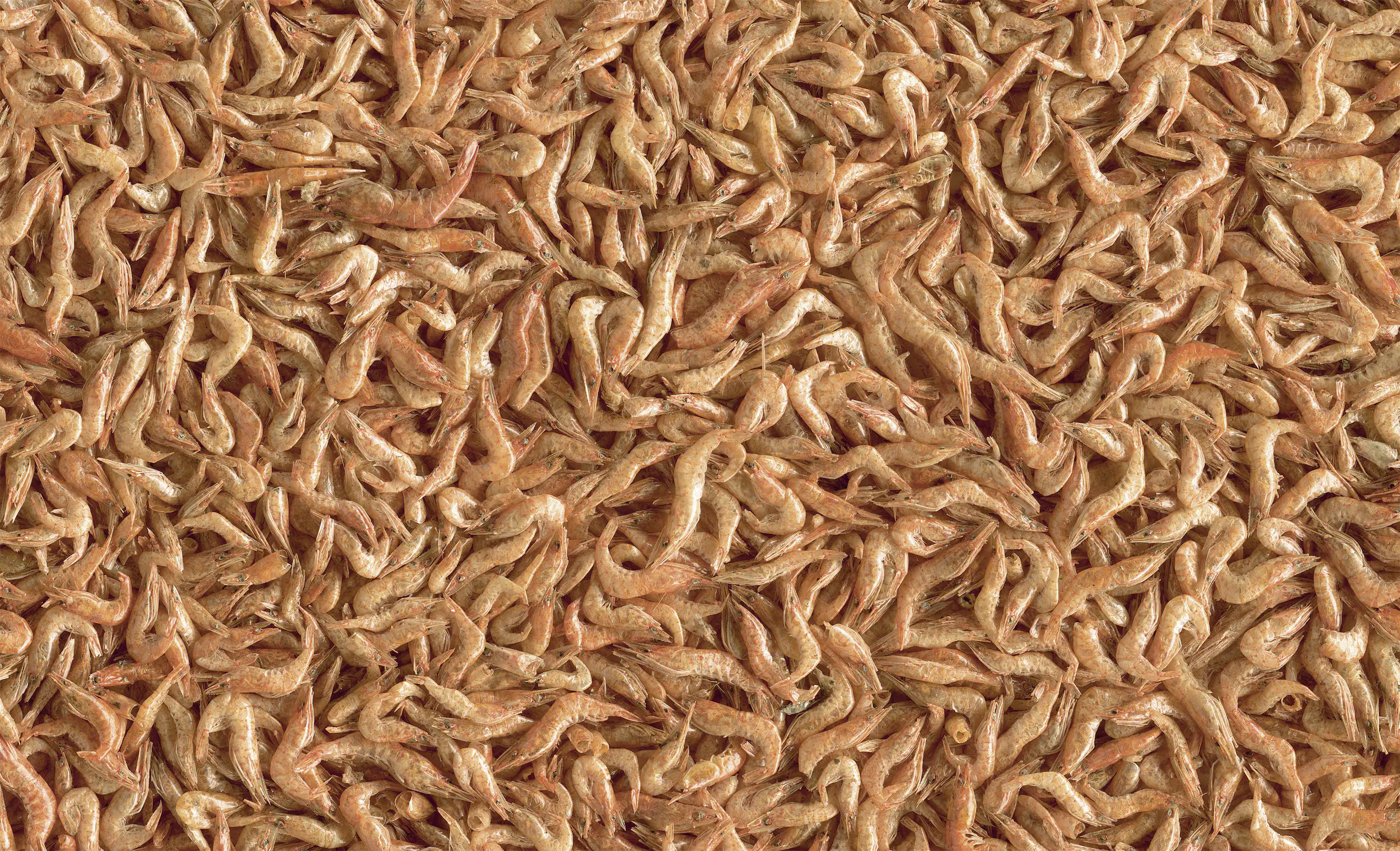 Tetra ReptoDelica Shrimps 1 L