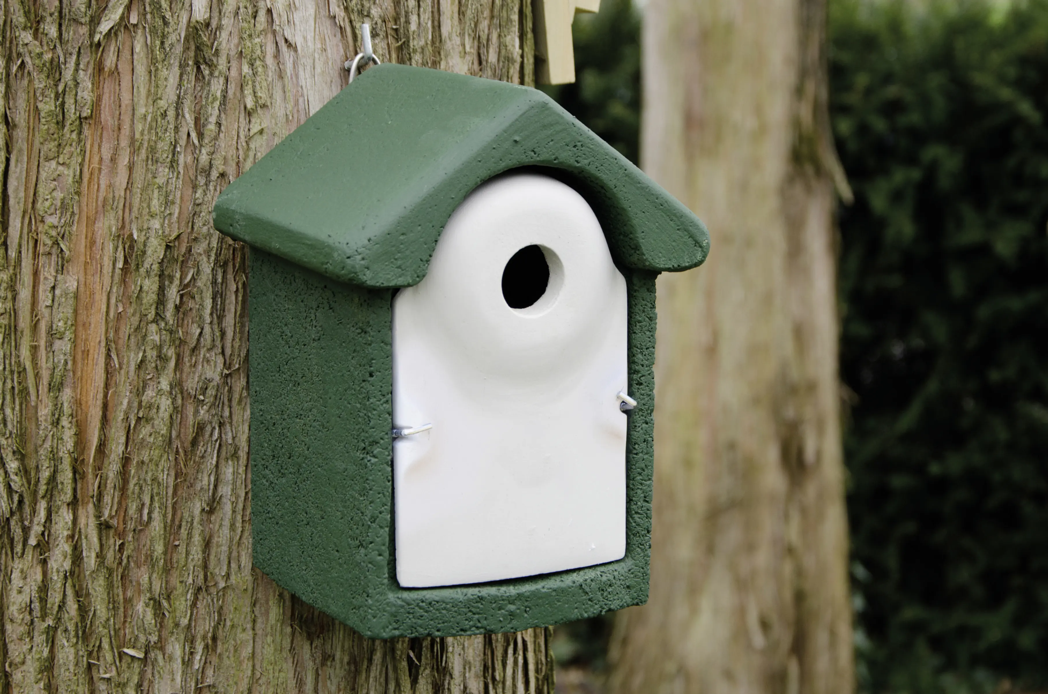 CJ Wildlife Nistkasten für Wildvögel Holzbeton 24 x 19 cm grün/weiß