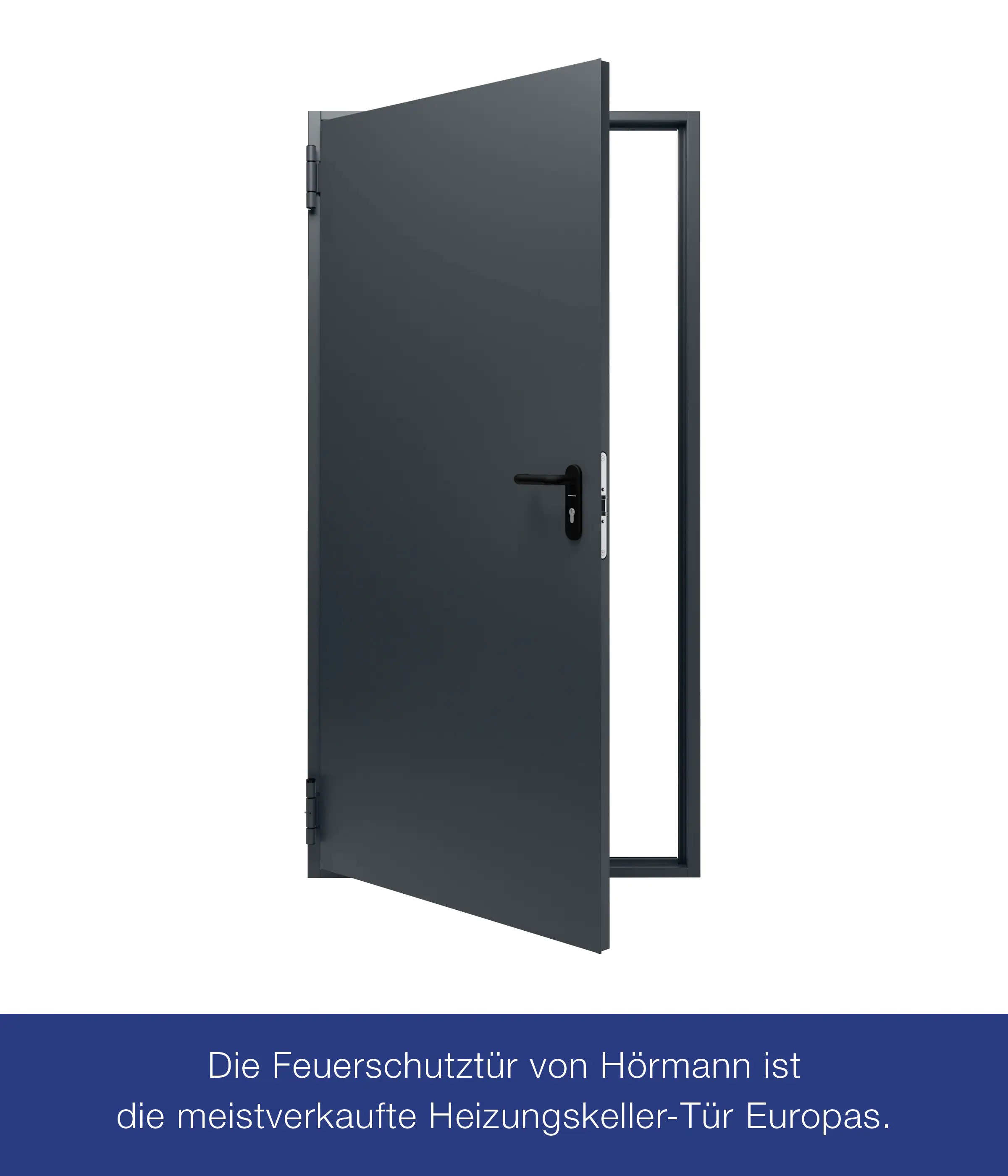 Hörmann Kellertür anthrazitgrau 100 x 200 cm Links/Rechts