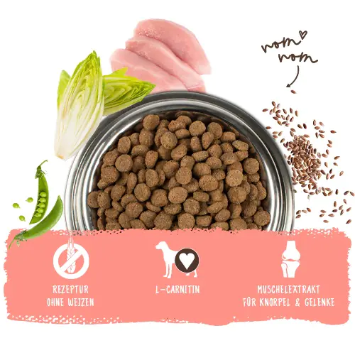 Bosch Hundetrockenfutter Adult 3 kg Geflügel 