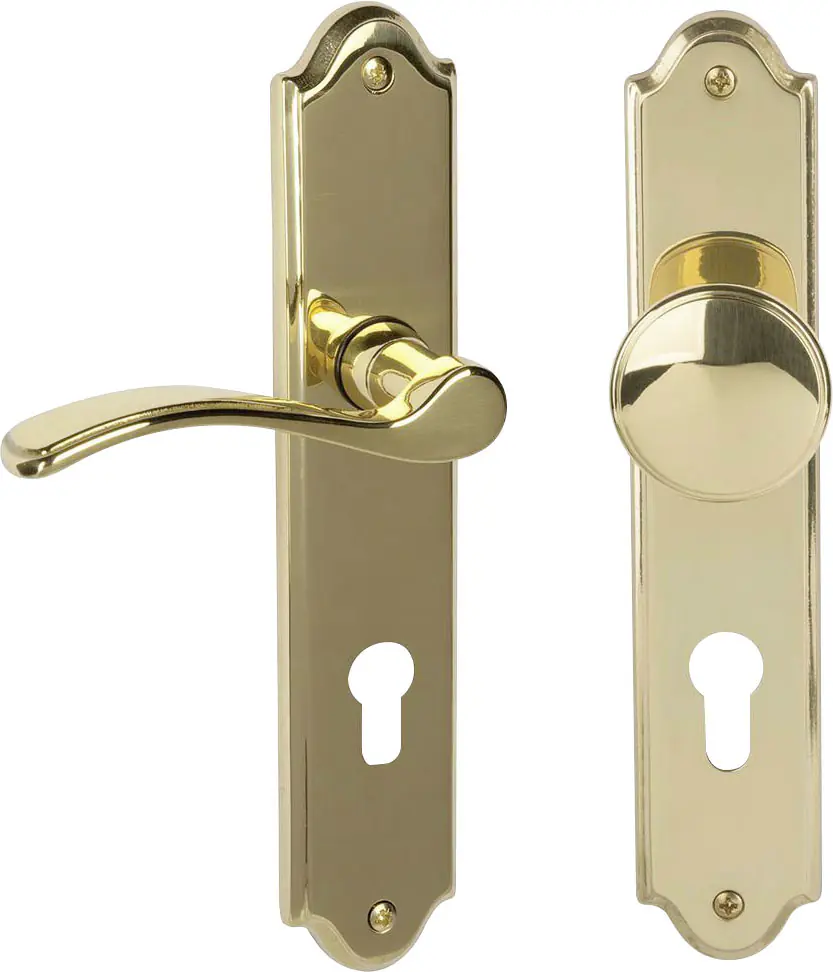Südmetall Türgriff-Garnitur Langschild Lori PZ Messing poliert Drücker links gold 226 x 45 mm