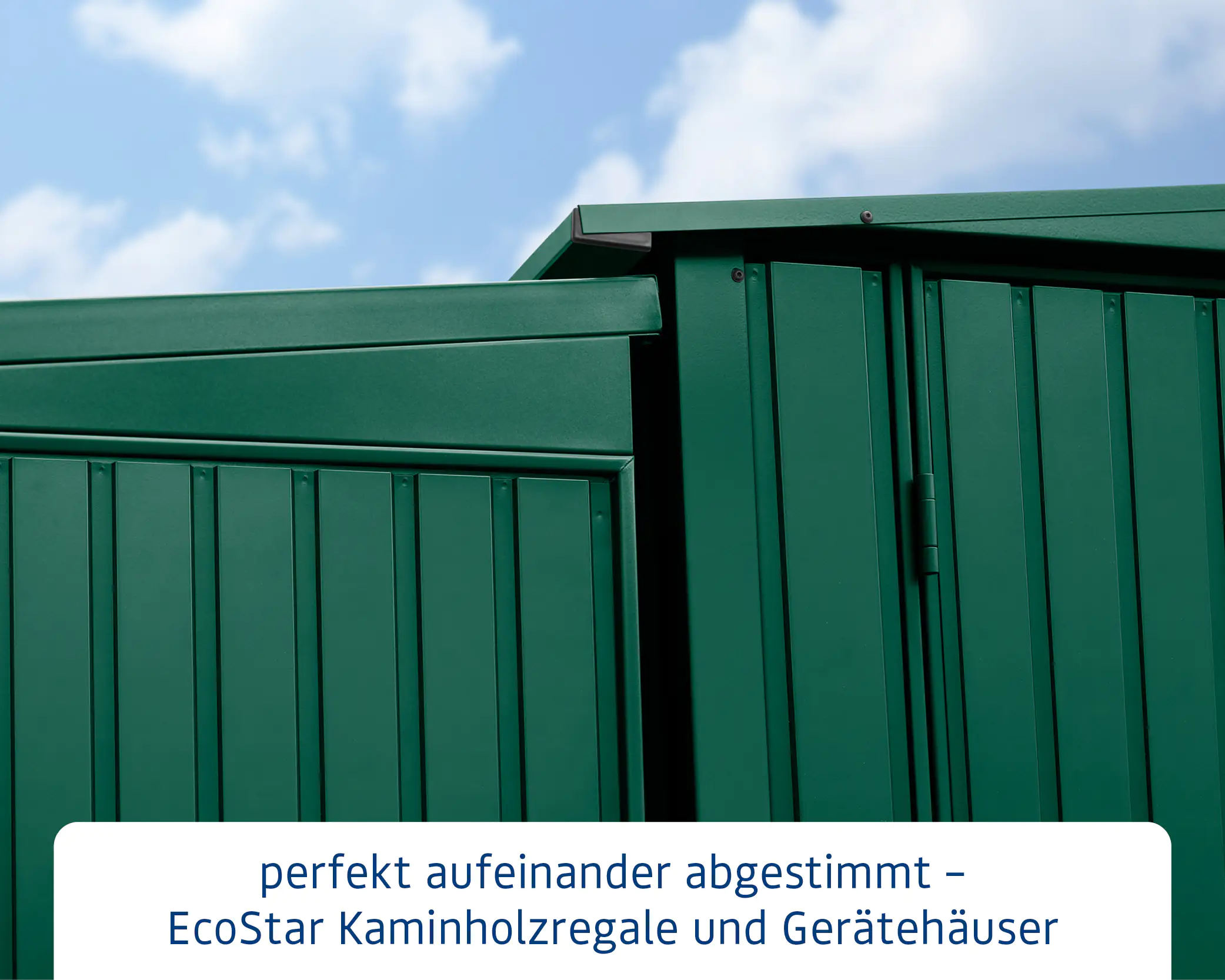 Ecostar Kaminholzregal Trend-V Typ 1, moosgrün, mit Verstrebung