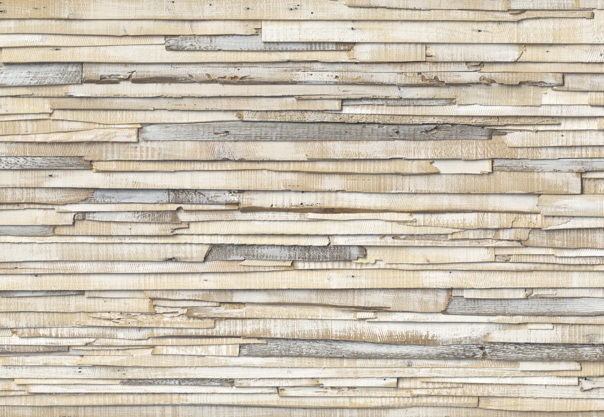 Komar Fototapete Whitewashed Wood 368 x 254 cm 