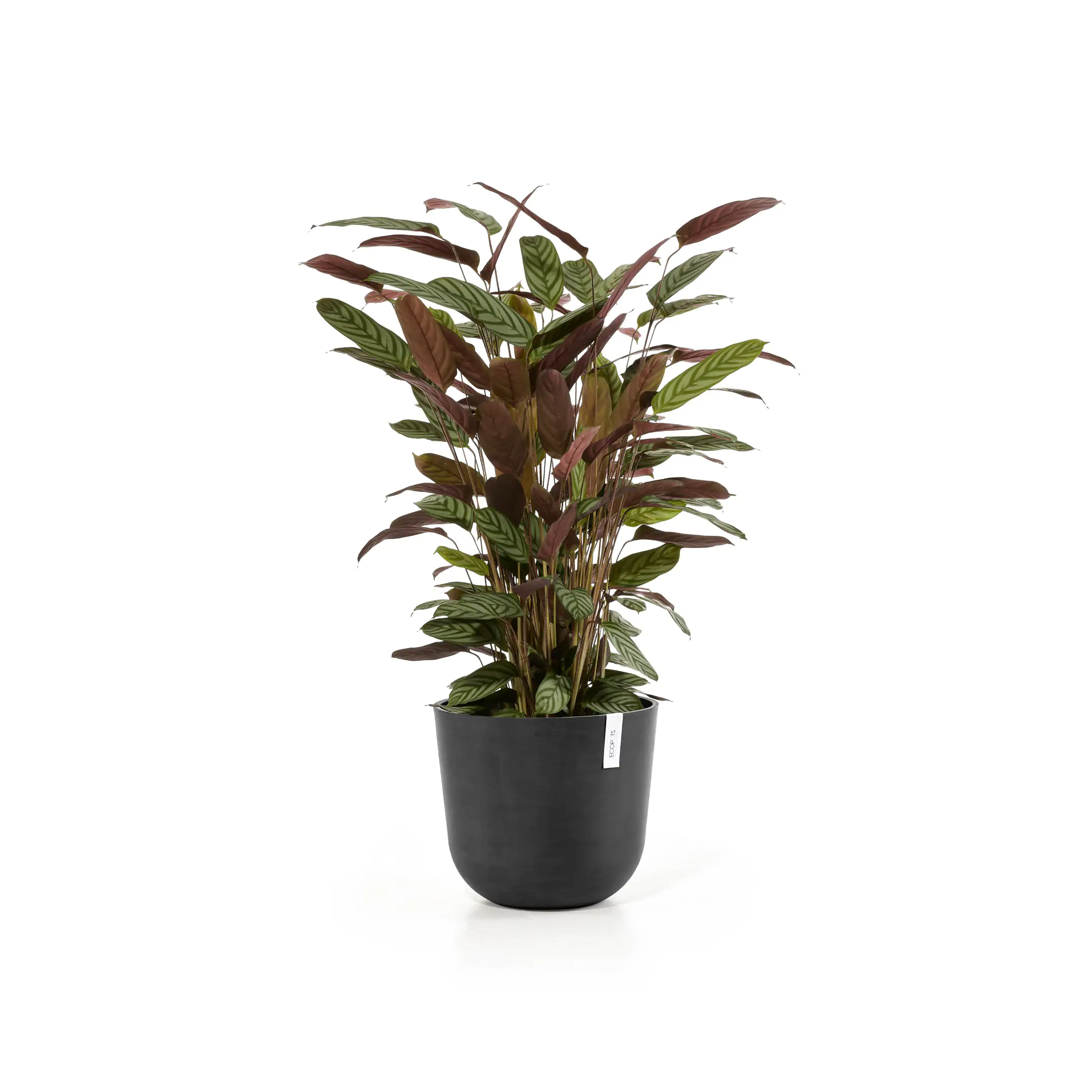 Ecopots Pflanztopf Oslo Ø 35 x 30,5 cm dunkelgrau