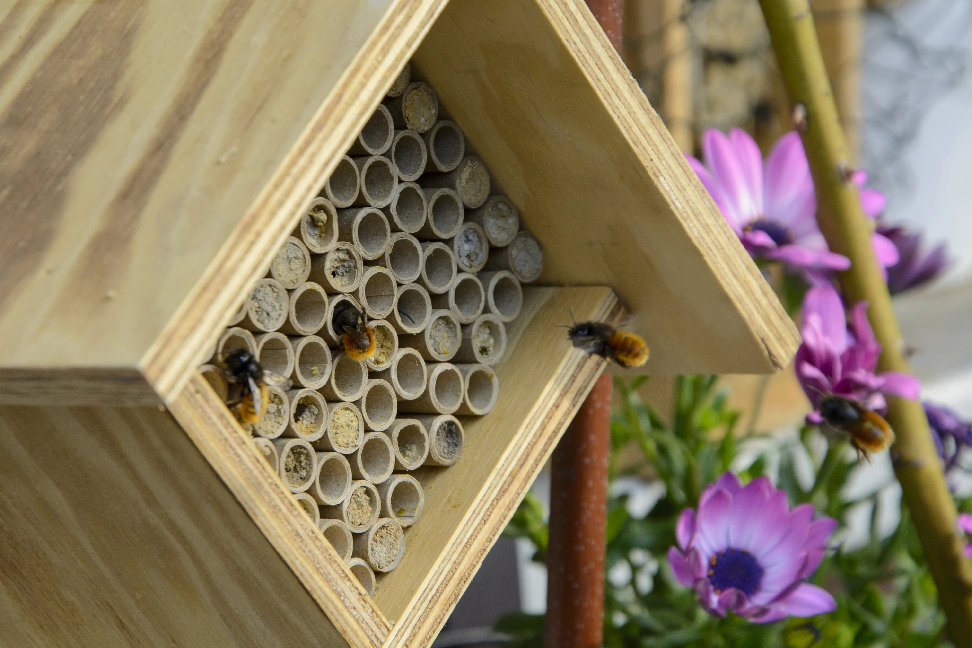 Dobar Bienenhaus Square 19 x 12,5 x 16 cm braun